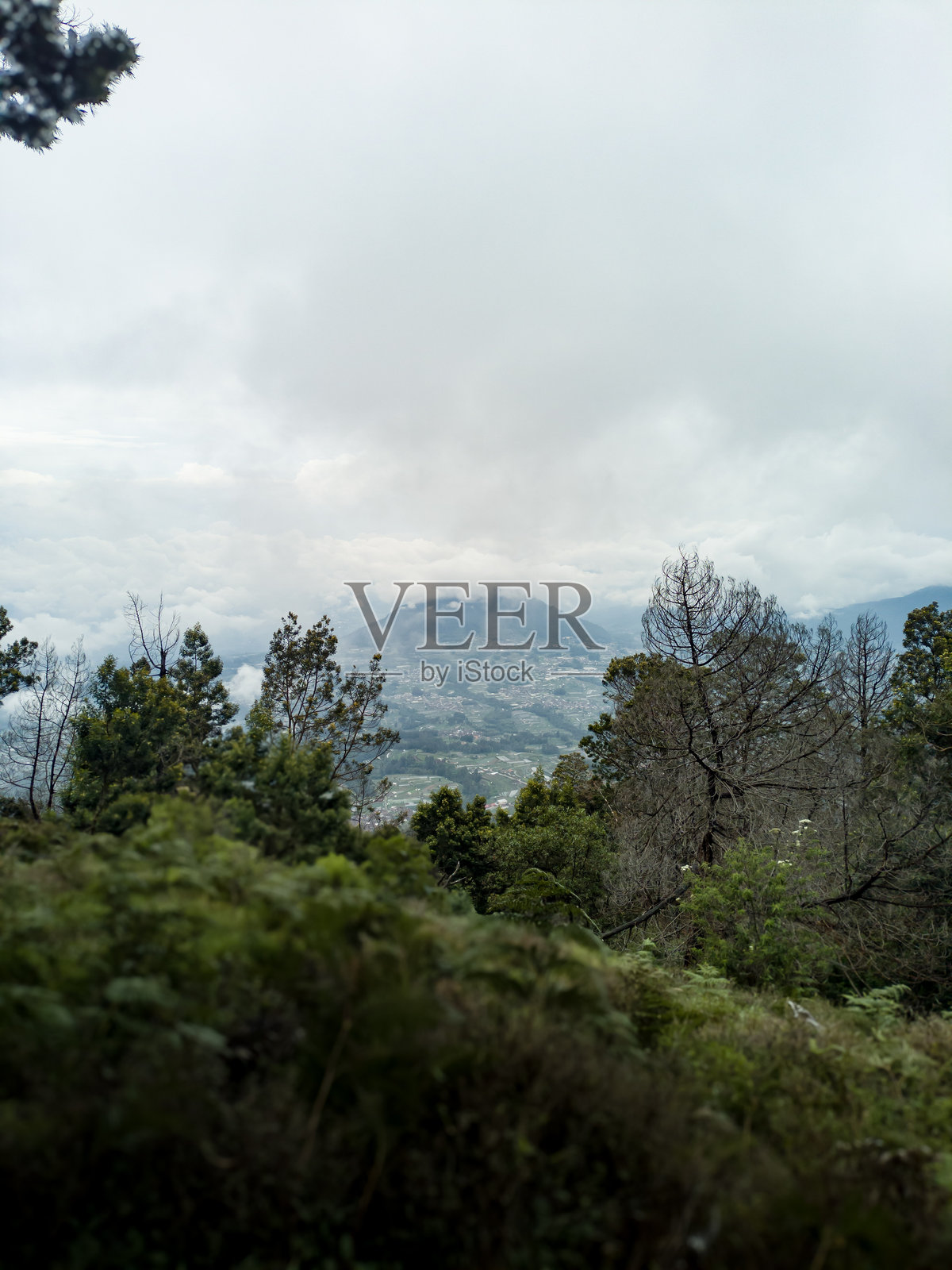 默巴布山上的雾景照片摄影图片