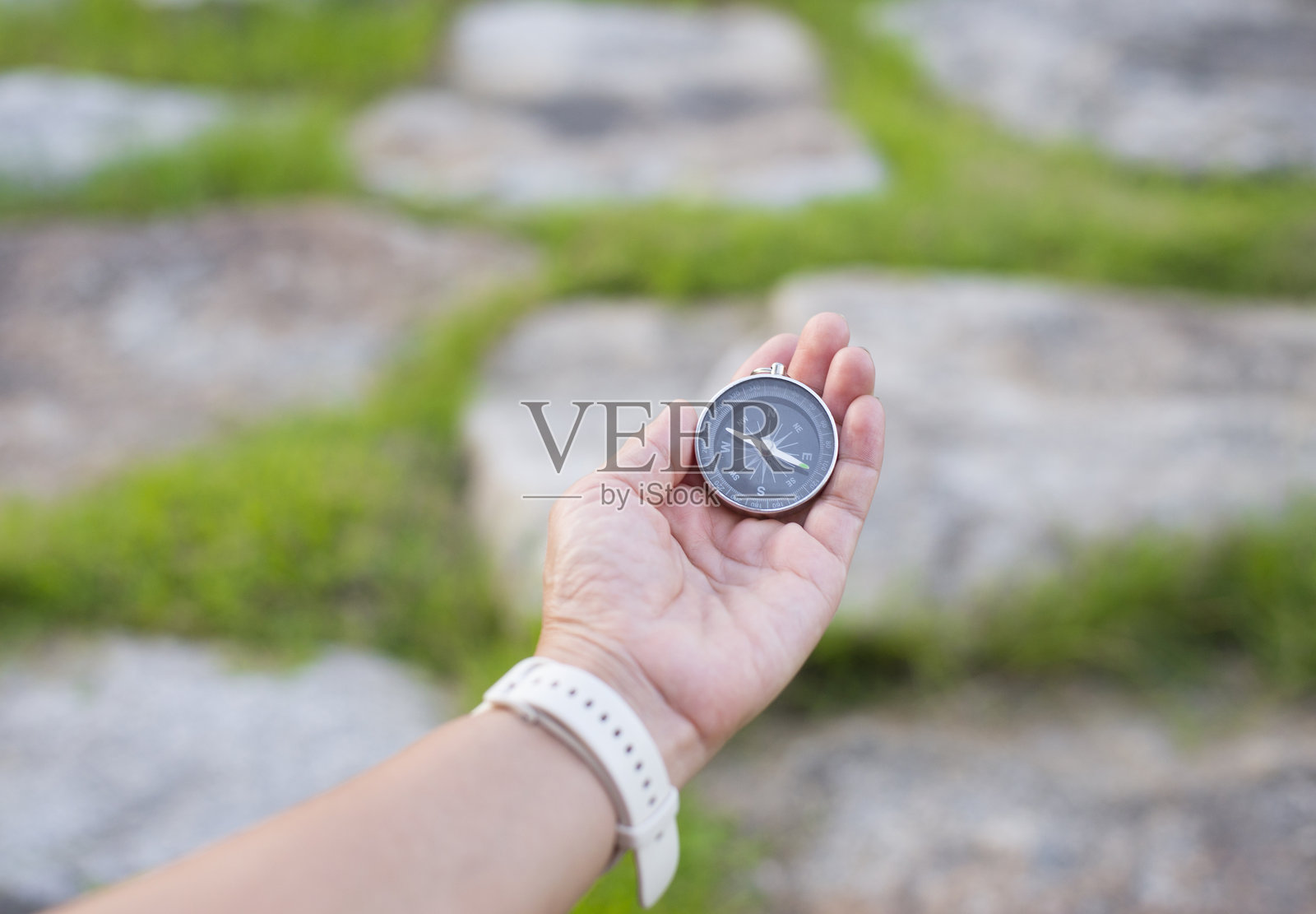 手持指南针，背景为绿草。旅行概念照片摄影图片