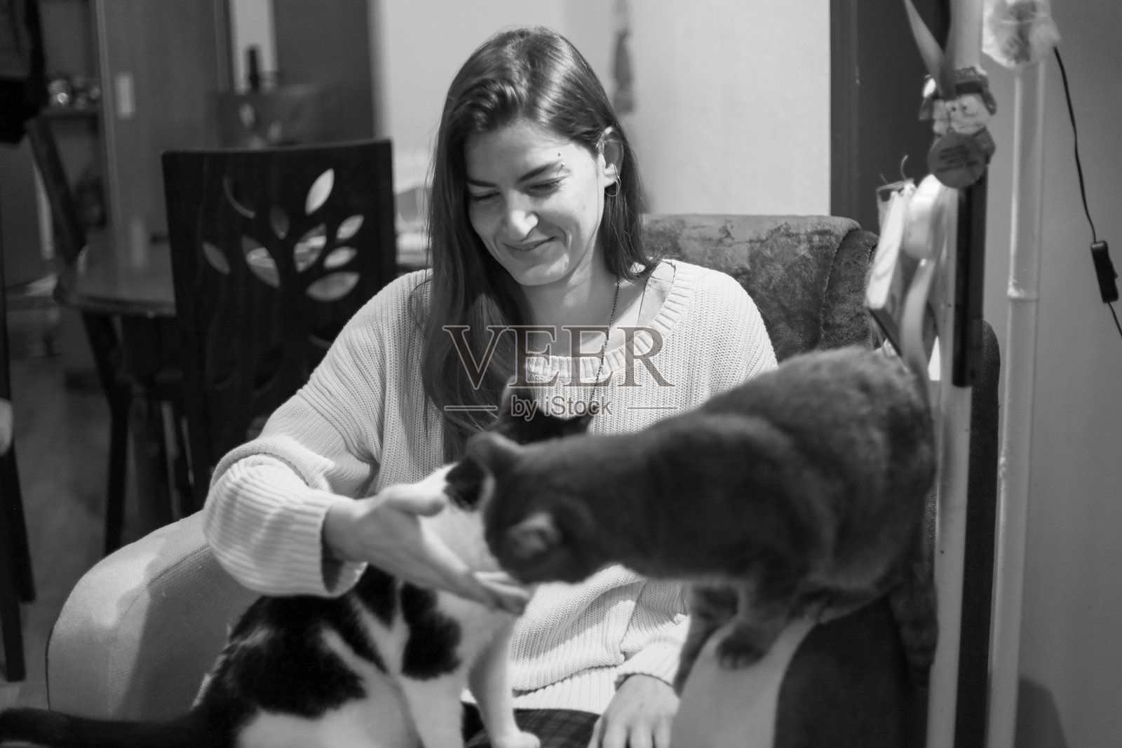 家中两只猫和一位女性，黑白照片摄影图片