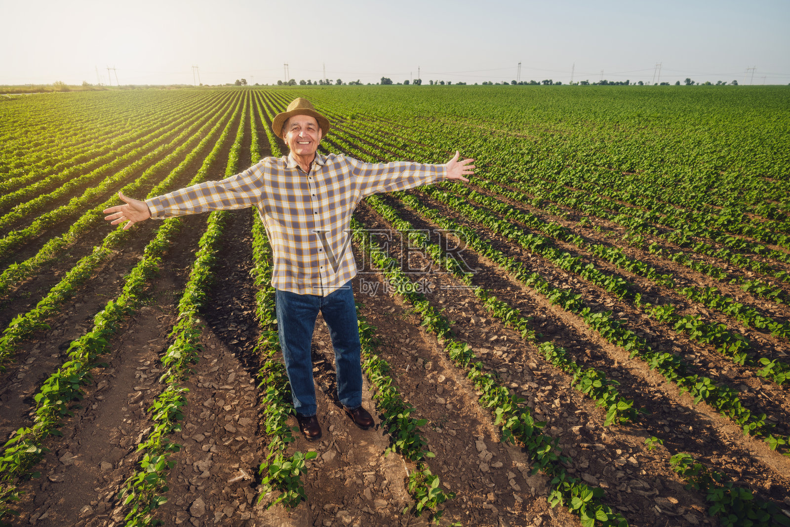 一位年长的农民在他的农田里照片摄影图片