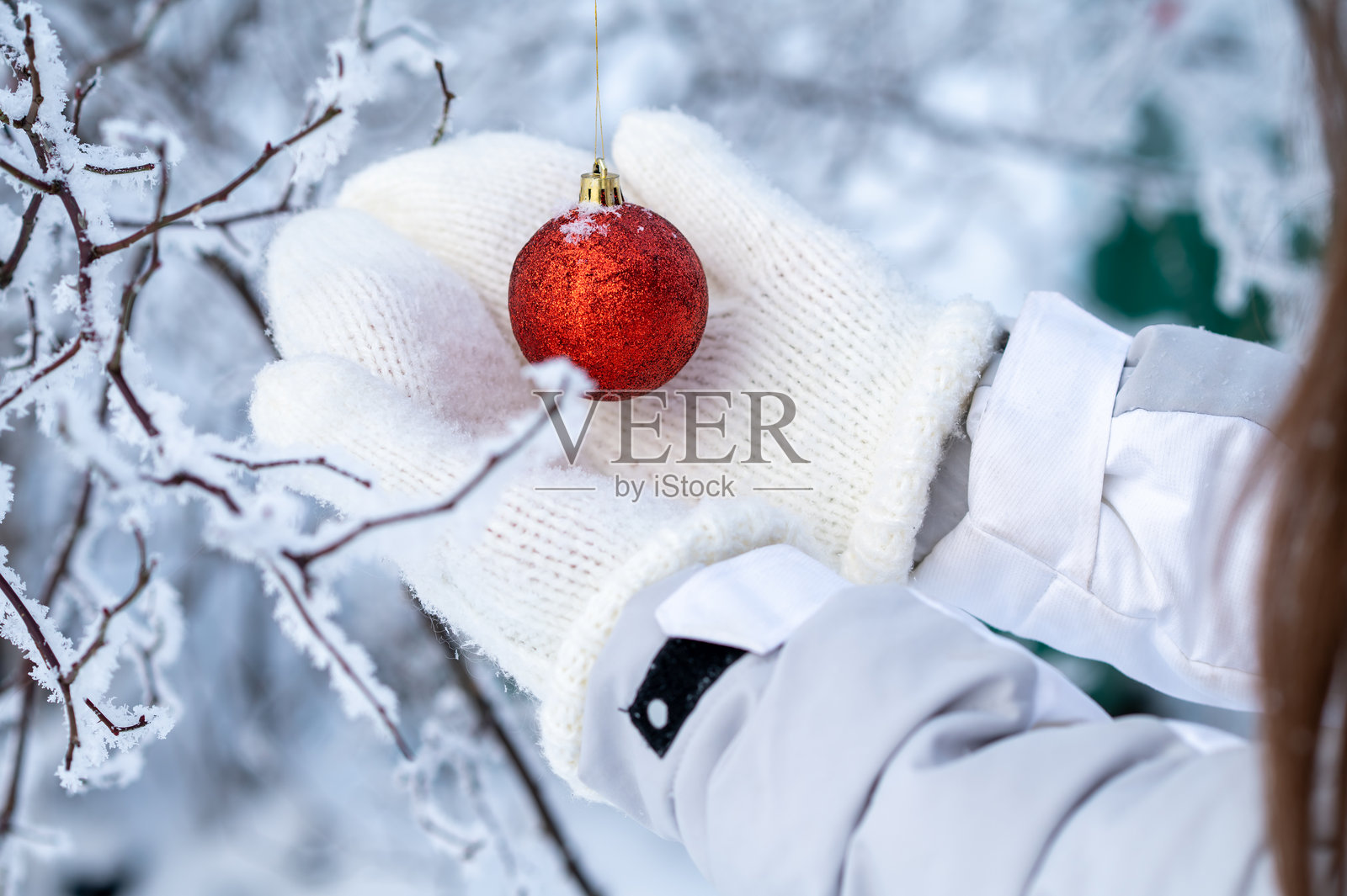 冬天公园里，一只手拿着挂在雪树枝上的红色圣诞饰品照片摄影图片