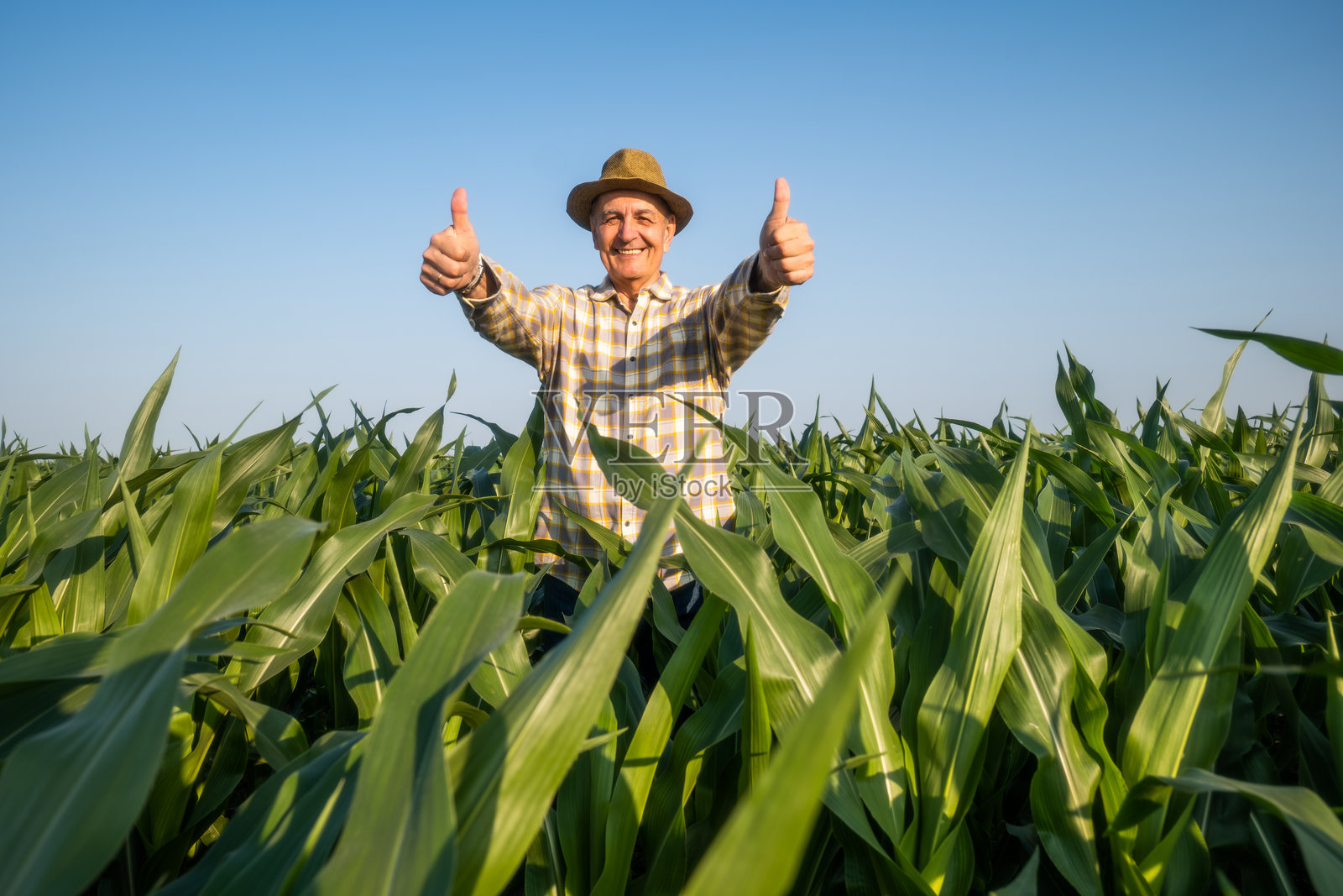 一位年长的农夫在他的农田里照片摄影图片