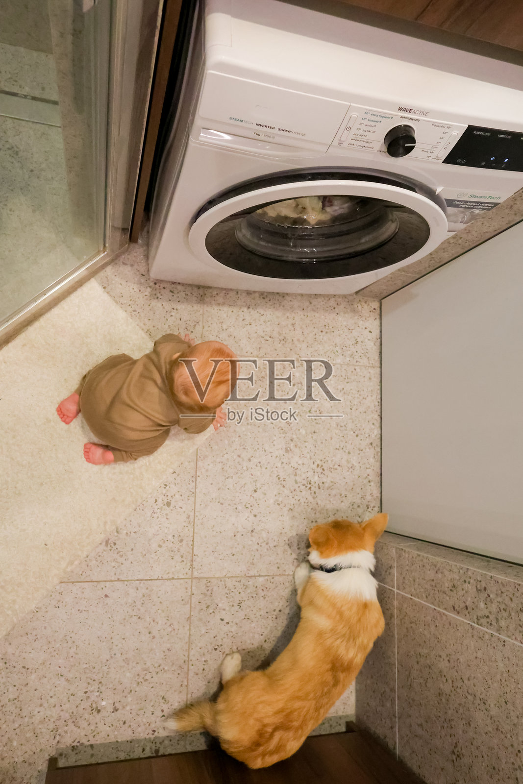 婴儿和柯基犬在洗衣房照片摄影图片