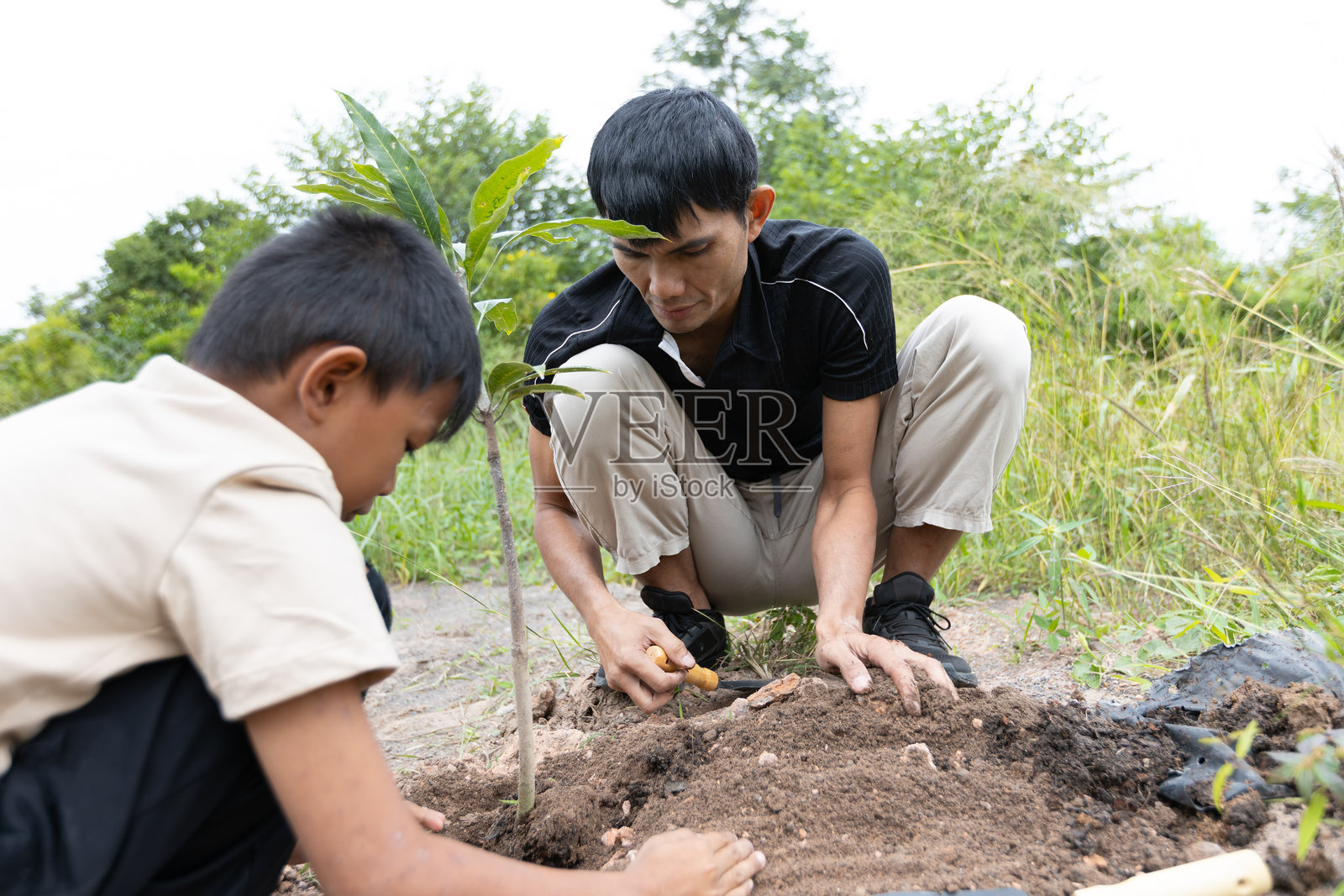 亚洲父亲和孩子在户外种树时覆盖土壤照片摄影图片