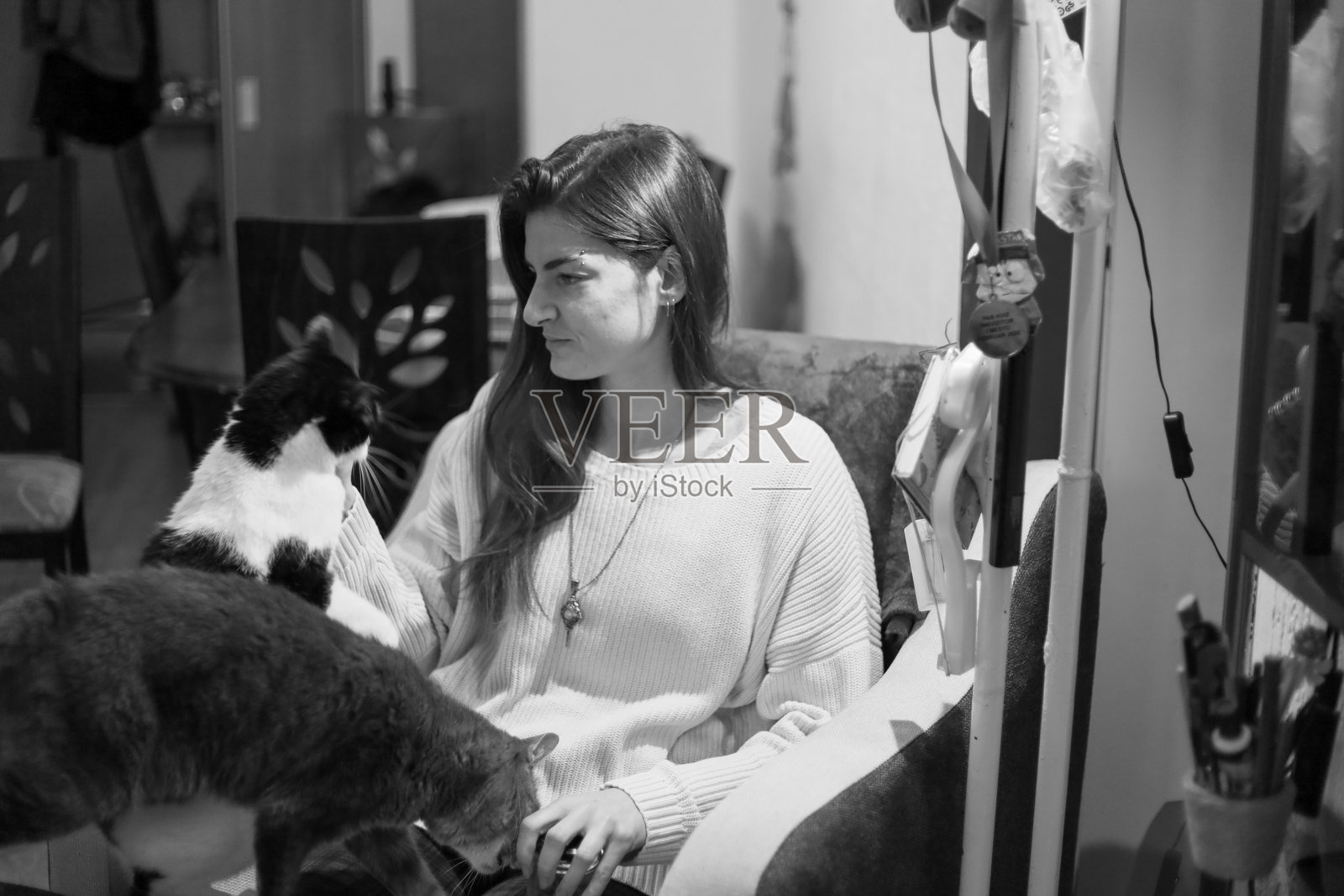 女子在家与两只猫的黑白照片照片摄影图片