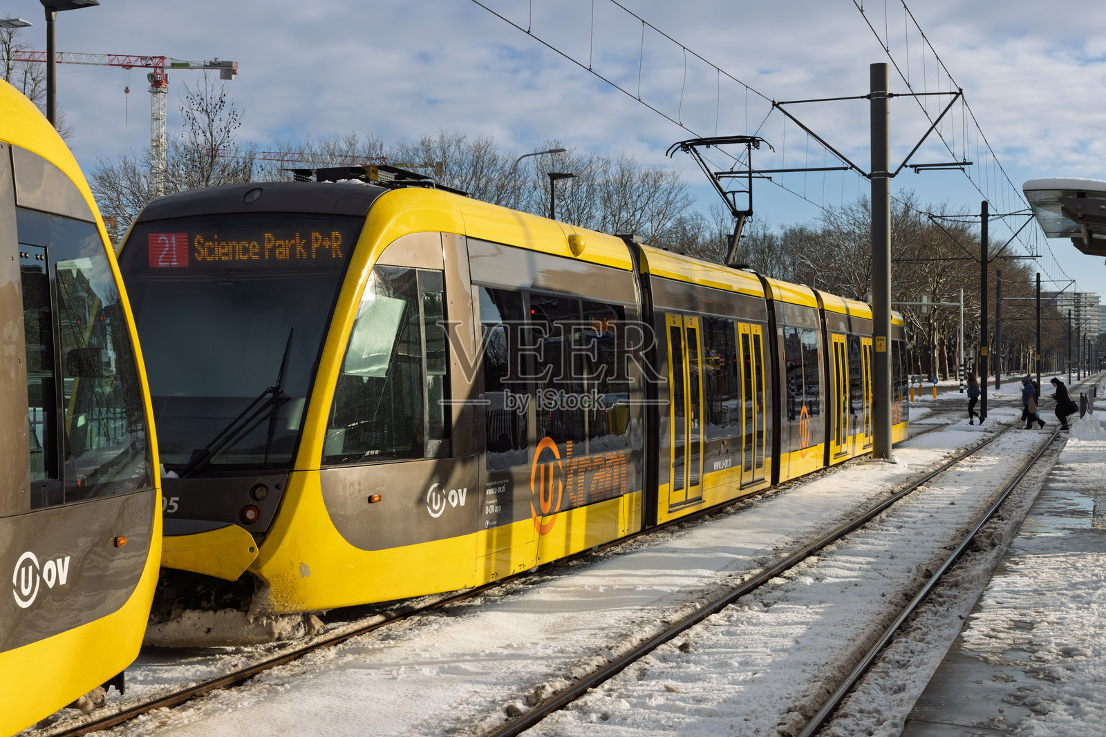 乌得勒支的U-OV有轨电车21路在雪中站台到站照片摄影图片