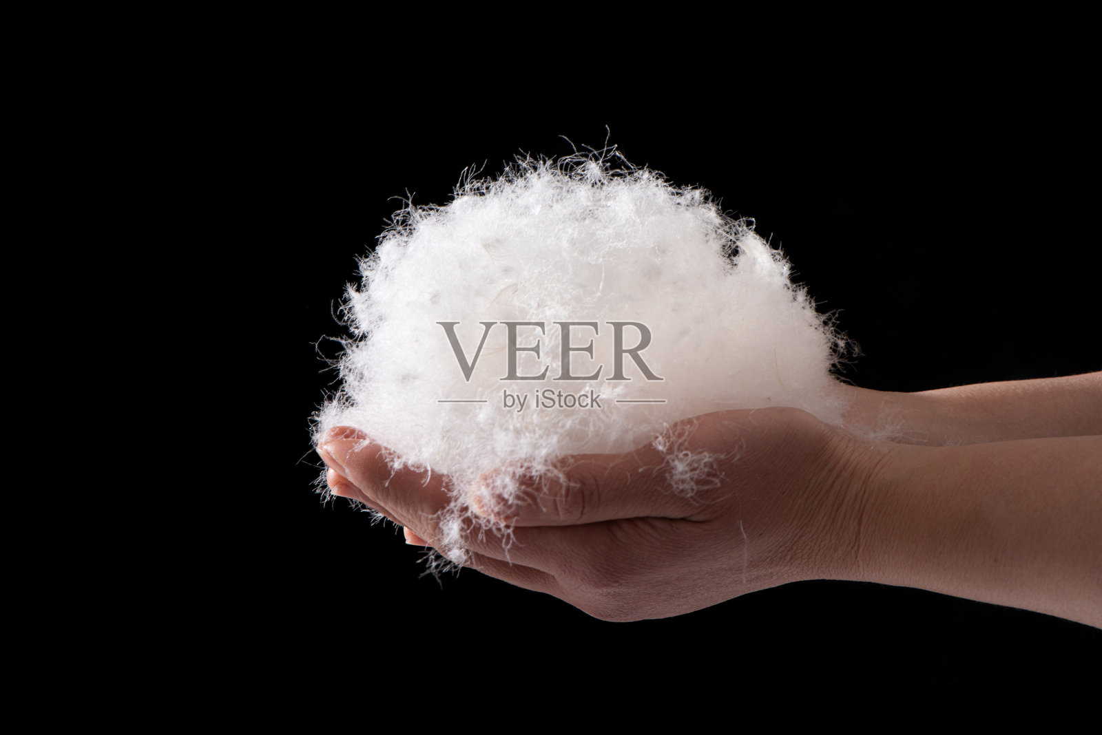 特写：一只手压着羽毛，黑色背景下孤立照片摄影图片