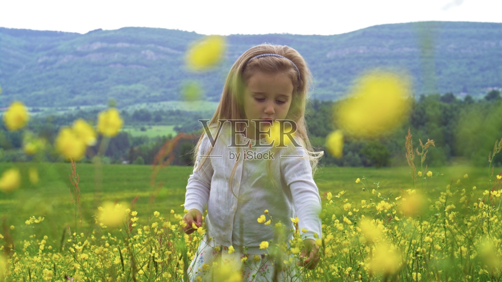 小女孩在自然中轻轻触摸毛茛花照片摄影图片
