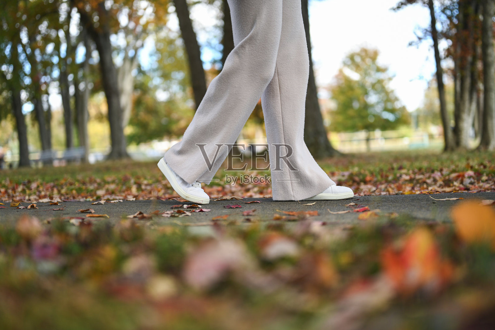 秋季，一个人走在小路上照片摄影图片