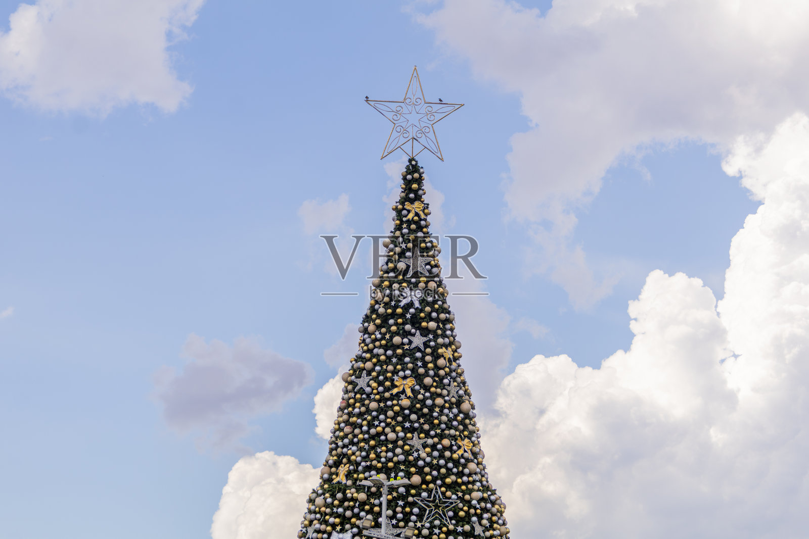 圣保罗的圣诞树。照片摄影图片