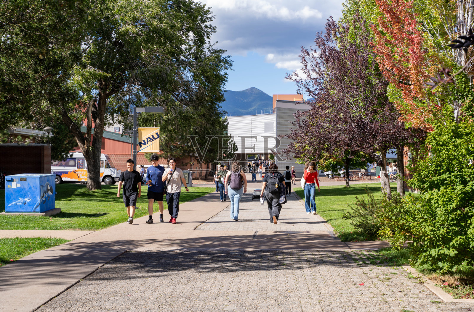 背景为旧金山山脉的北亚利桑那大学校园里的学生们照片摄影图片