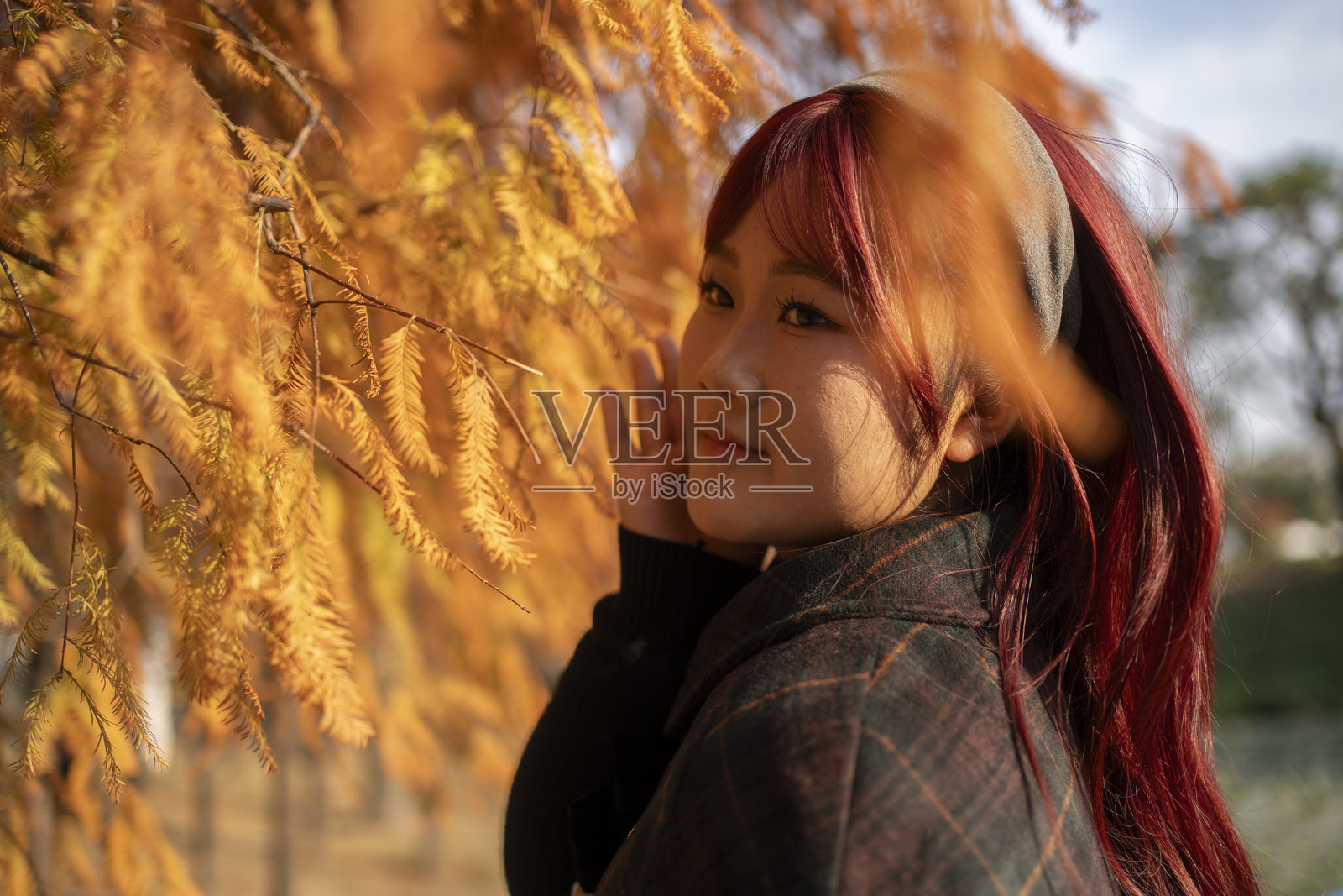 一位美丽的女子在森林中享受大自然的美景照片摄影图片