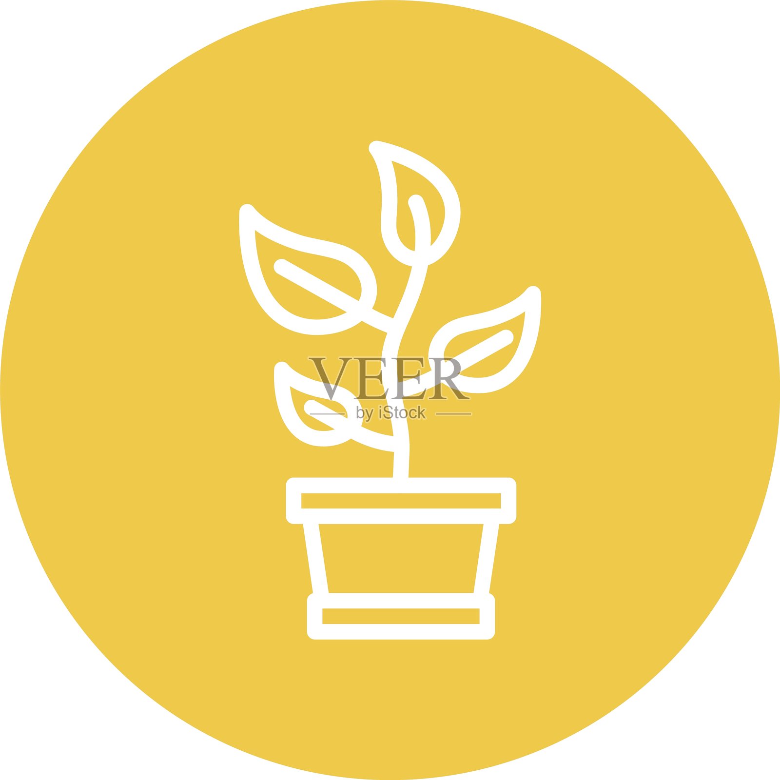 植物线条多彩圆圈插画图片素材