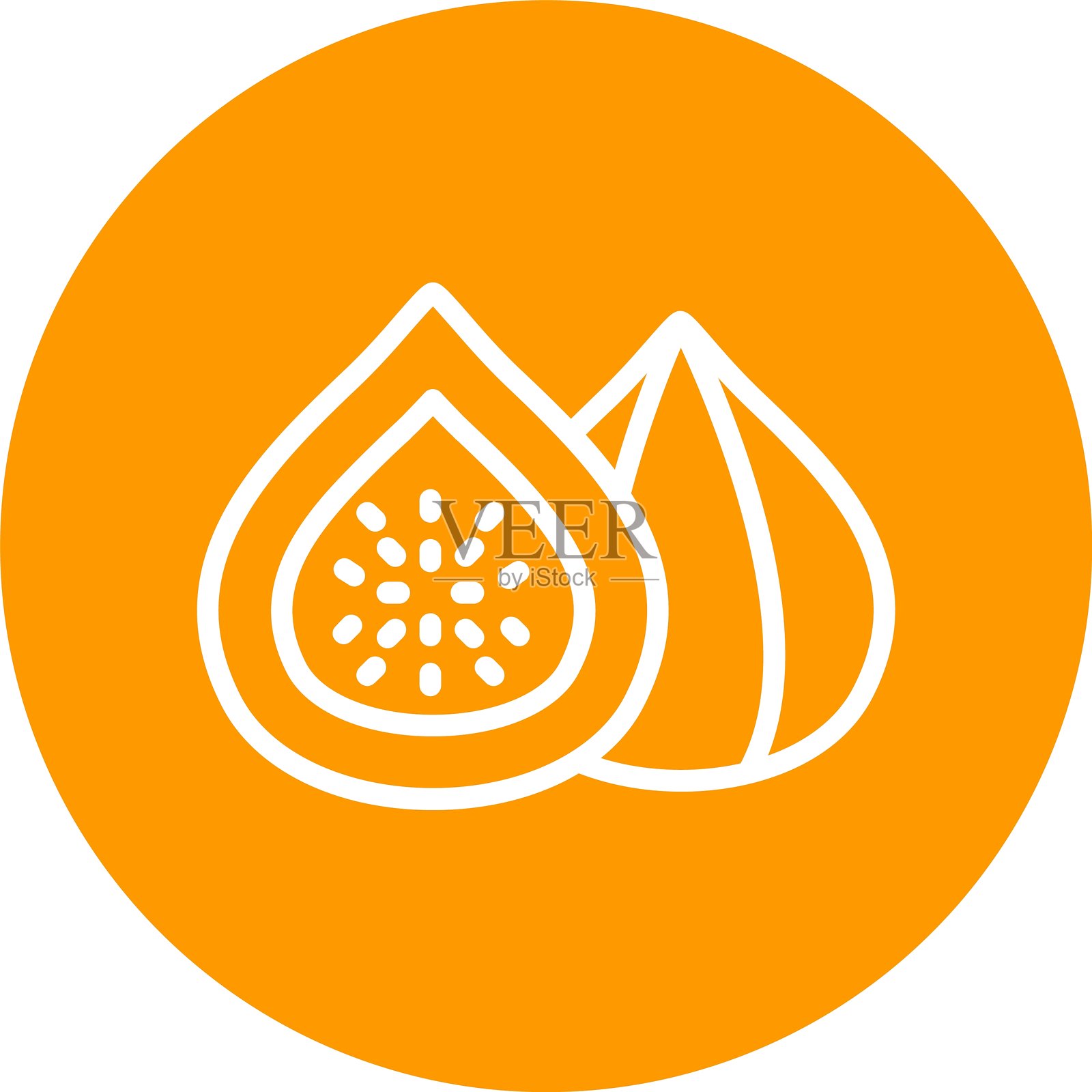 无花果彩色圆形线条插画图片素材