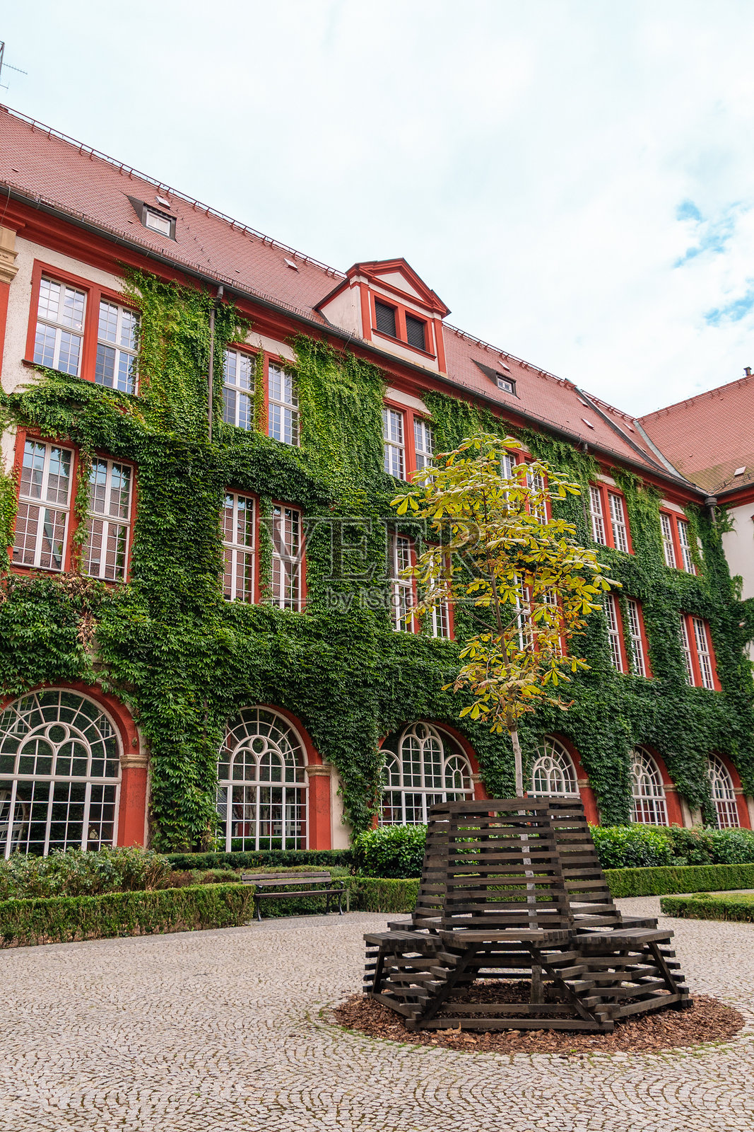 历史建筑,常春藤覆盖的外墙,宁静庭院中的独特木雕。奥索林斯基国家学院照片摄影图片