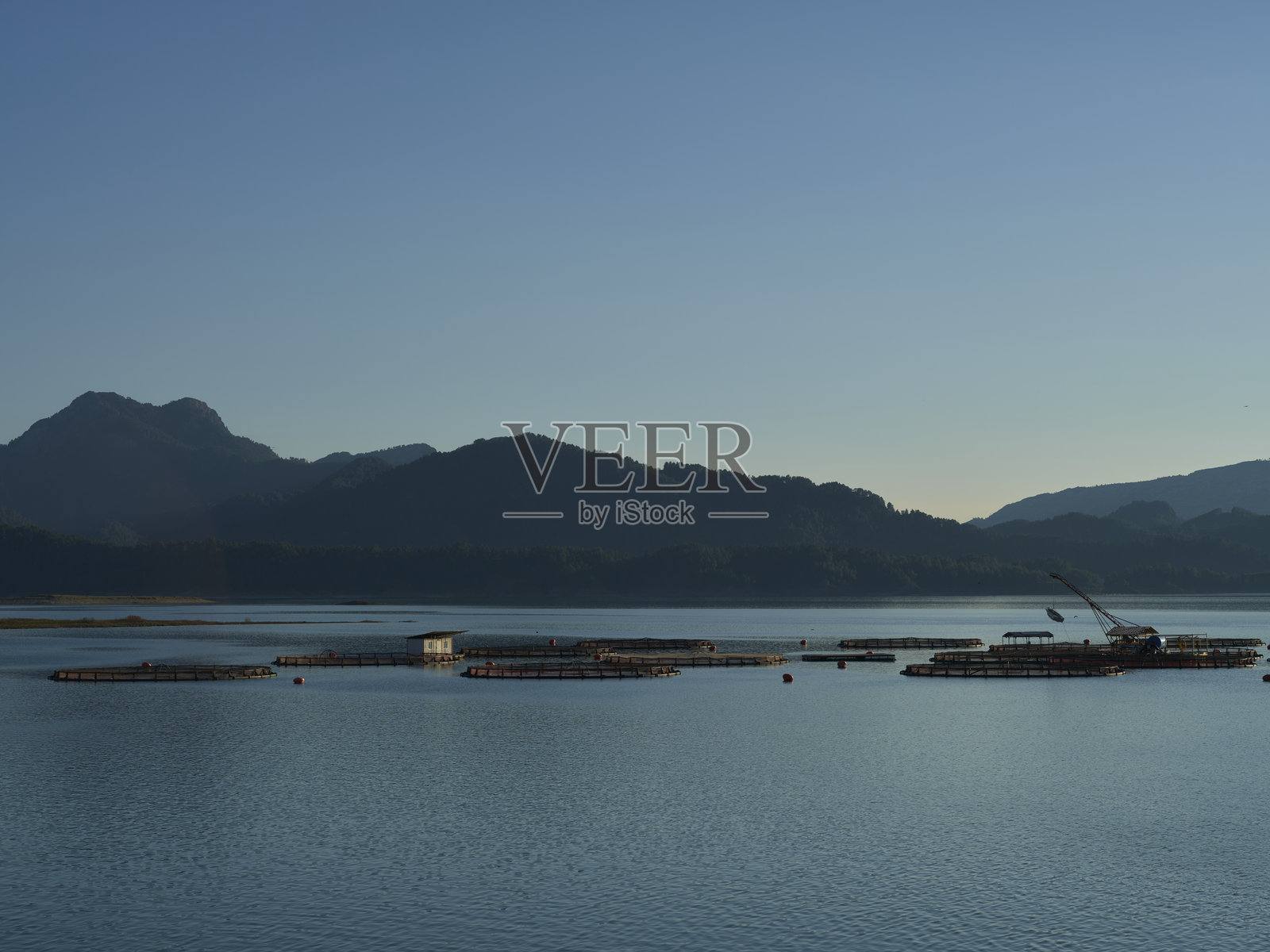 空中俯瞰湖泊中的鱼类养殖网箱照片摄影图片