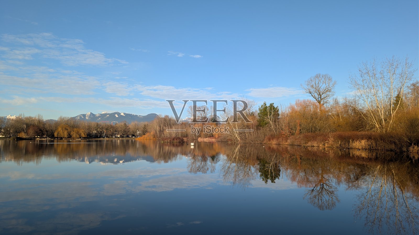 季节的宁静：宁静湖泊上的冬日倒影，伴有雪顶山峰、光秃的树木和飞翔的鸟儿照片摄影图片