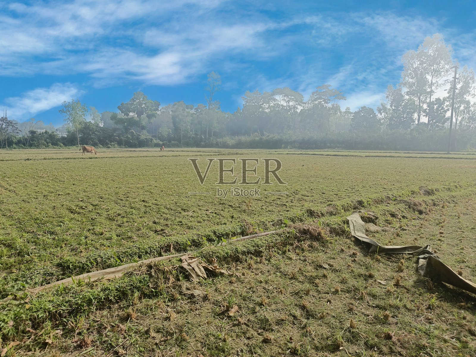 开阔的乡村农田景观照片摄影图片