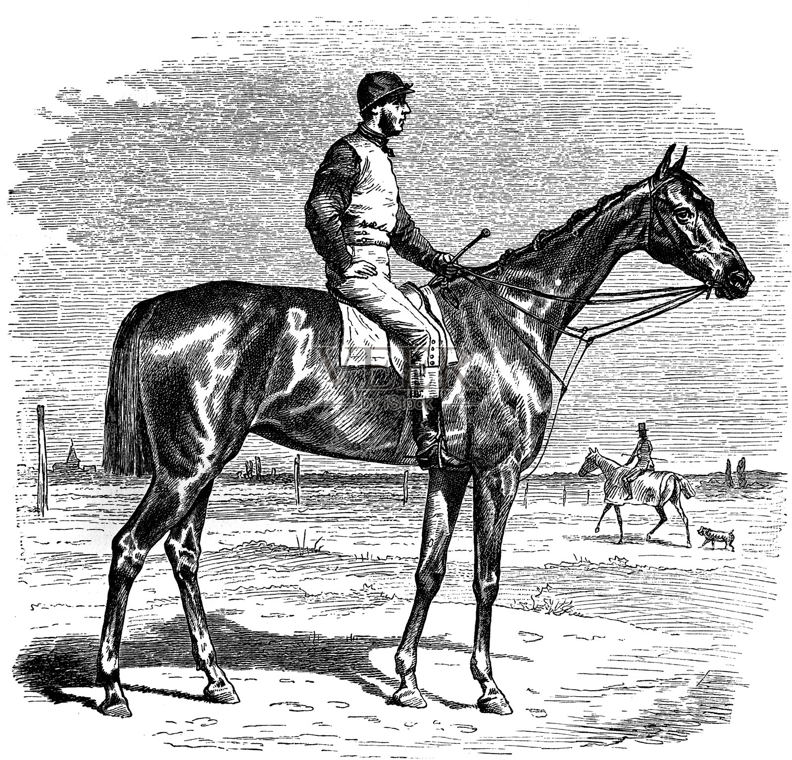 骑师策马疾驰的赛马插画图片素材