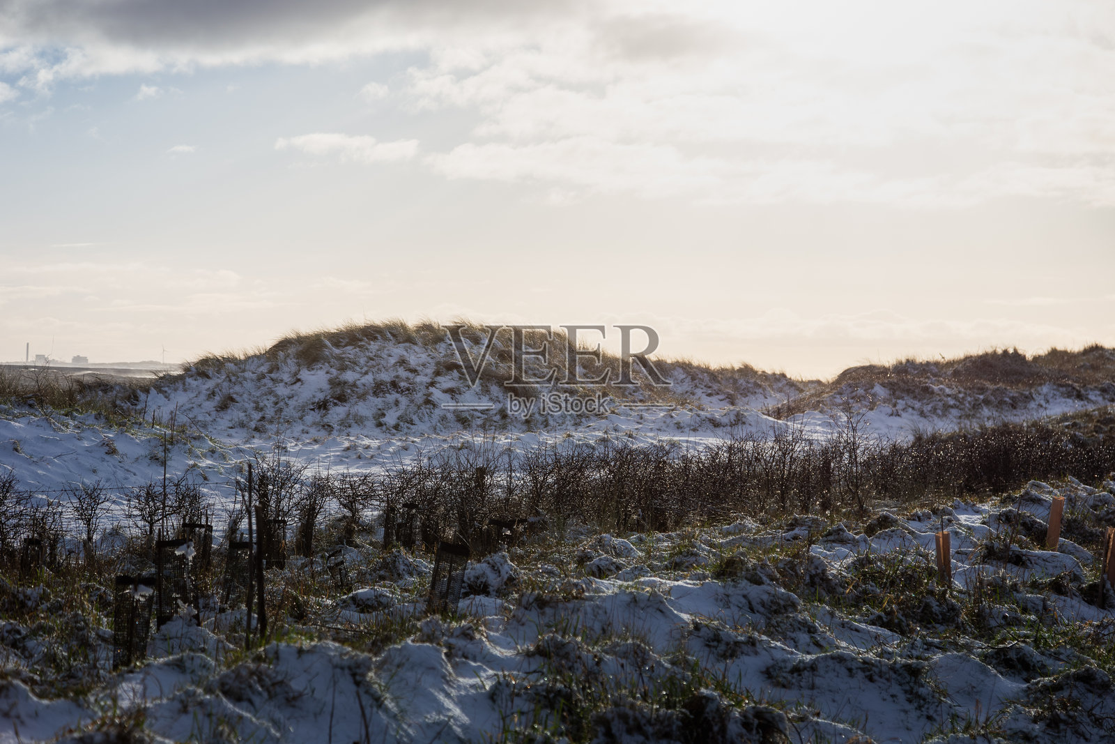 2026年1月，德鲁里奇湾托格斯顿海滩的冬季风光照片摄影图片