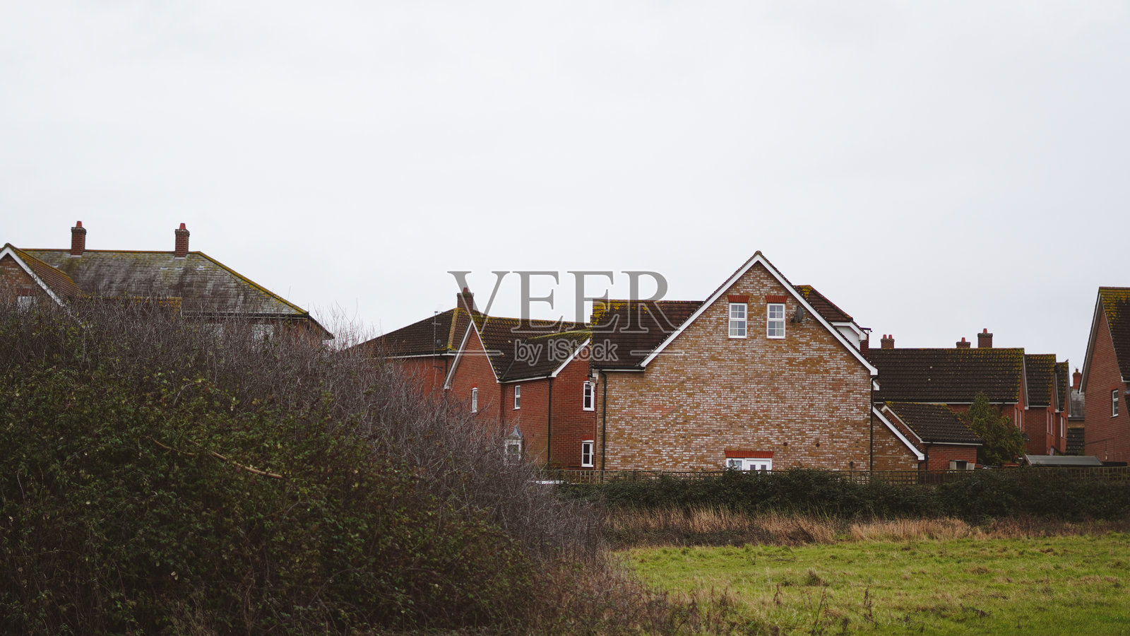 阴天下的住宅，前景为绿植照片摄影图片