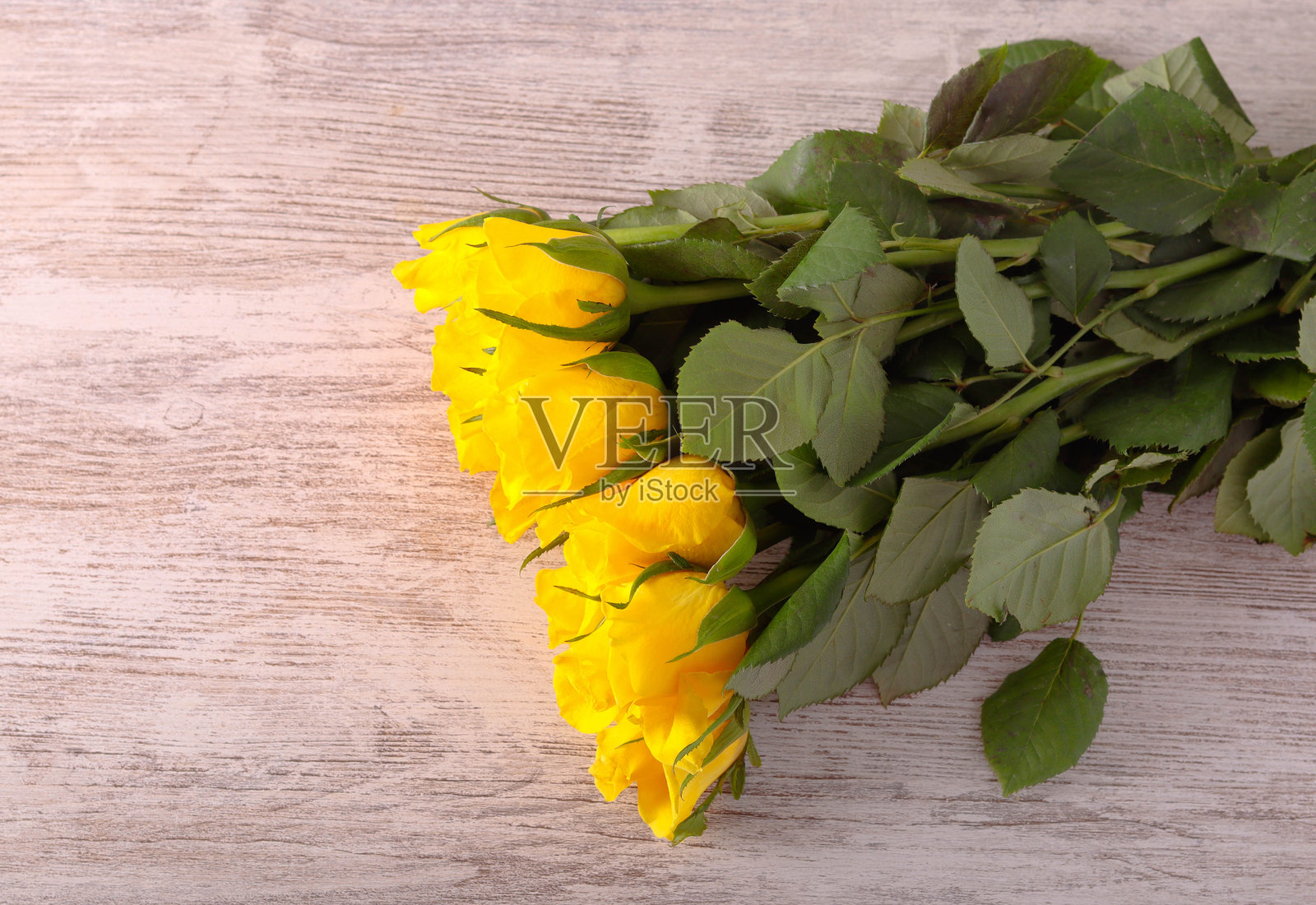 木头上的黄玫瑰照片摄影图片