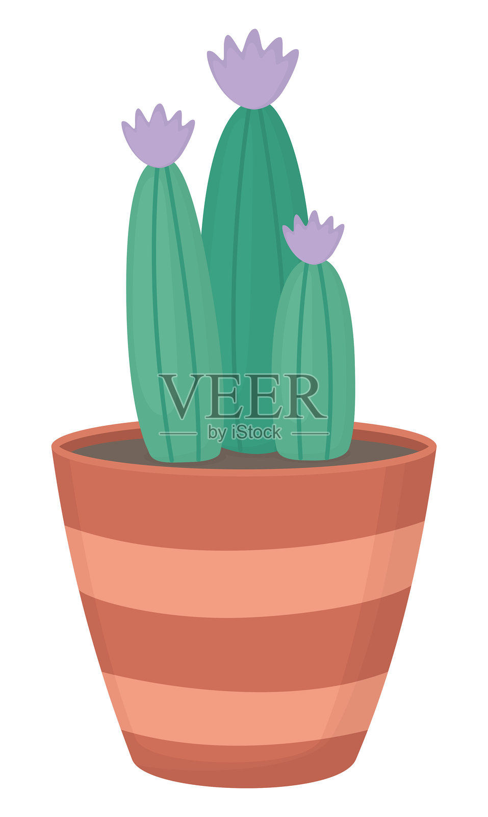 带条纹花盆的仙人掌，有三根枝条和淡紫色花朵插画图片素材