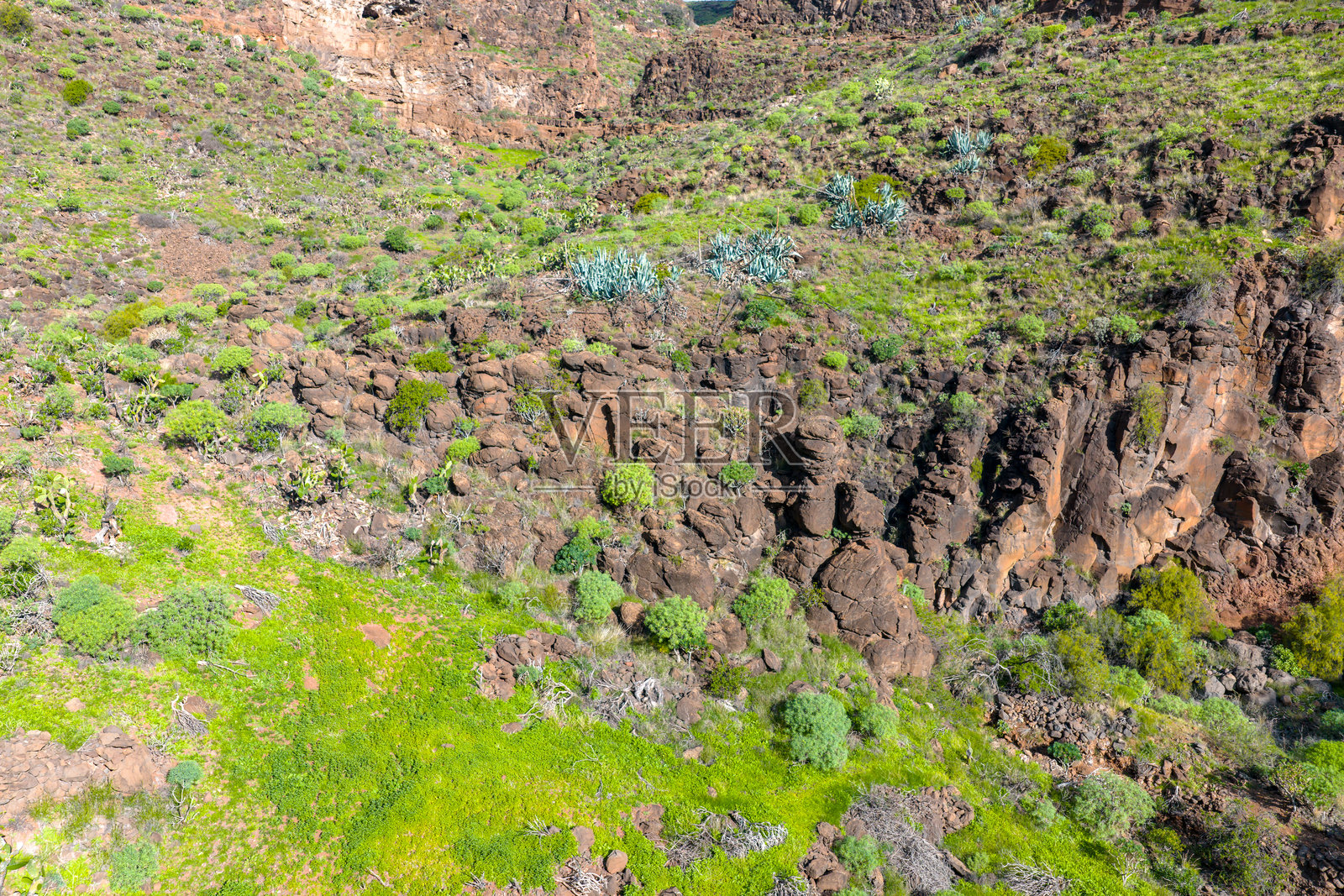 加那利群岛格兰加纳里亚岛的郁郁葱葱的绿色航空景观照片摄影图片