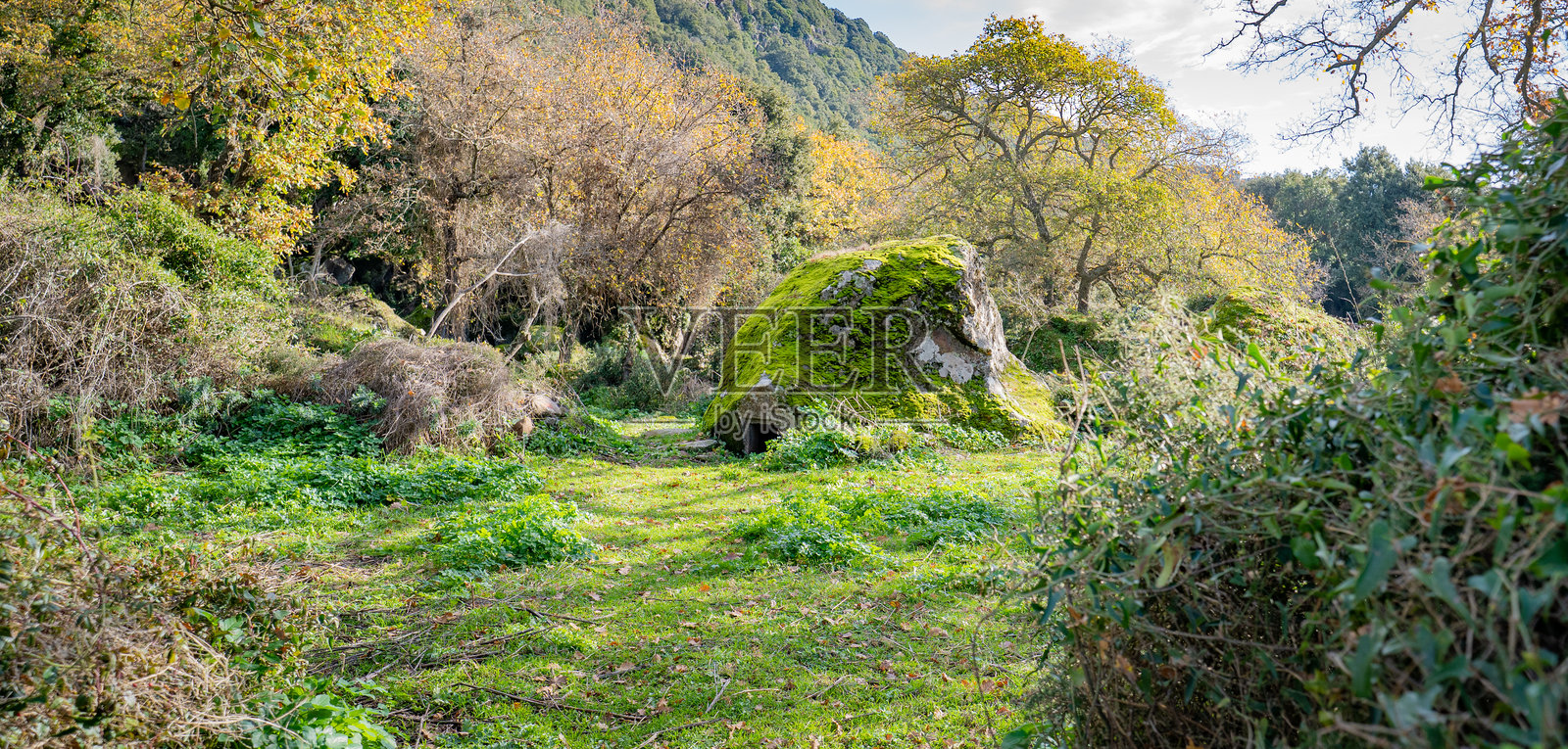 撒丁岛乡村古老的坎贾利斯石制努拉吉遗址照片摄影图片
