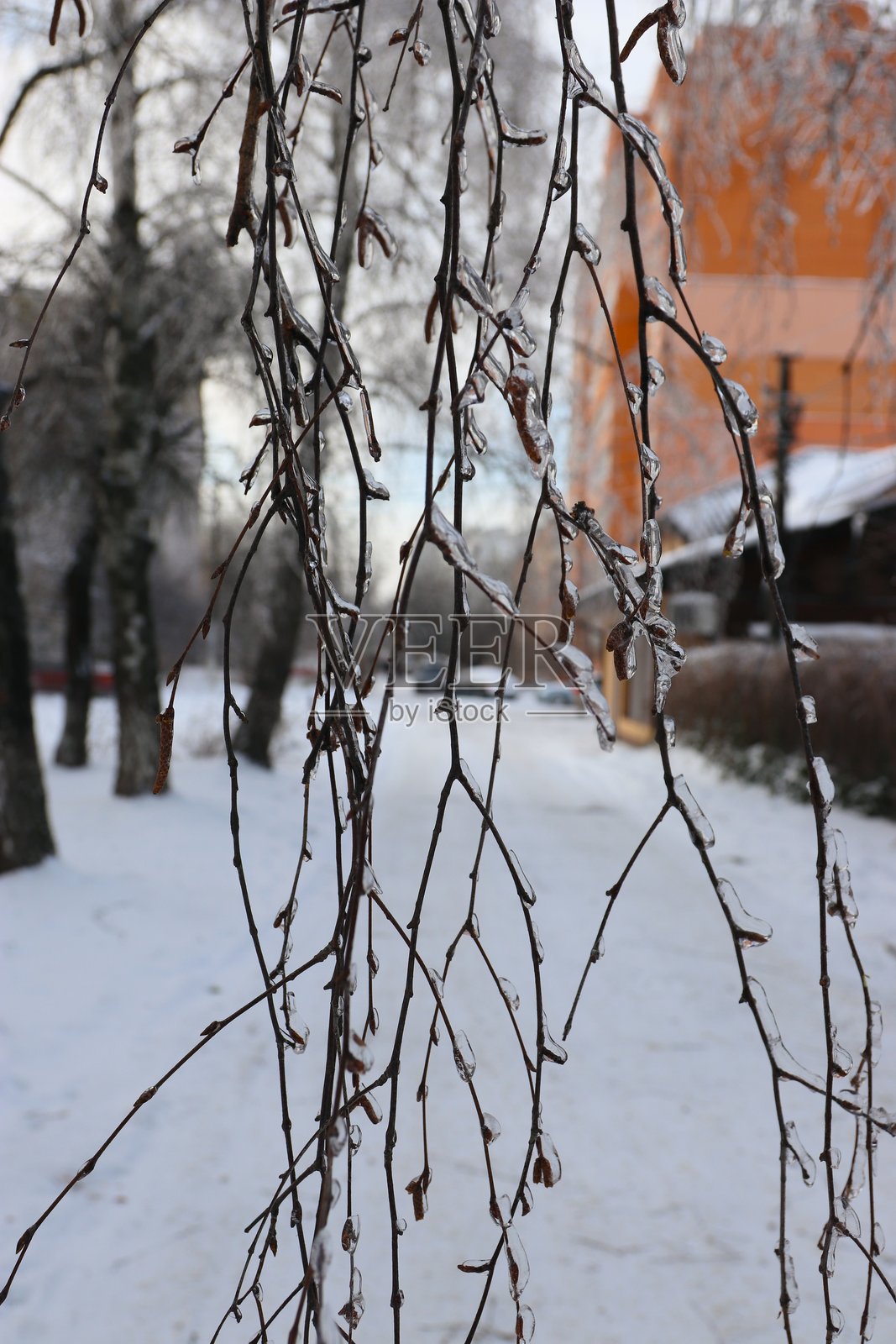冰冻雨后，细密的树枝被冰覆盖——带有城市背景的冬季纹理照片摄影图片