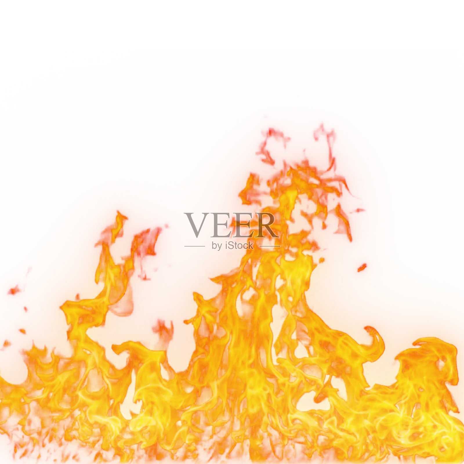 白色背景上的火焰照片摄影图片