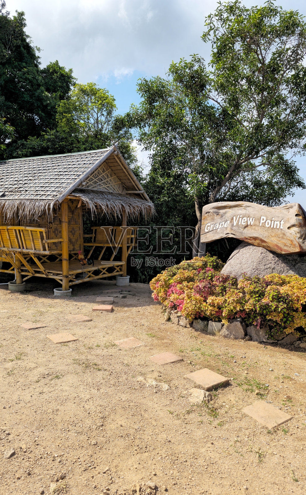 泰国苏叻他尼府涛岛的葡萄观景点，传统竹屋照片摄影图片
