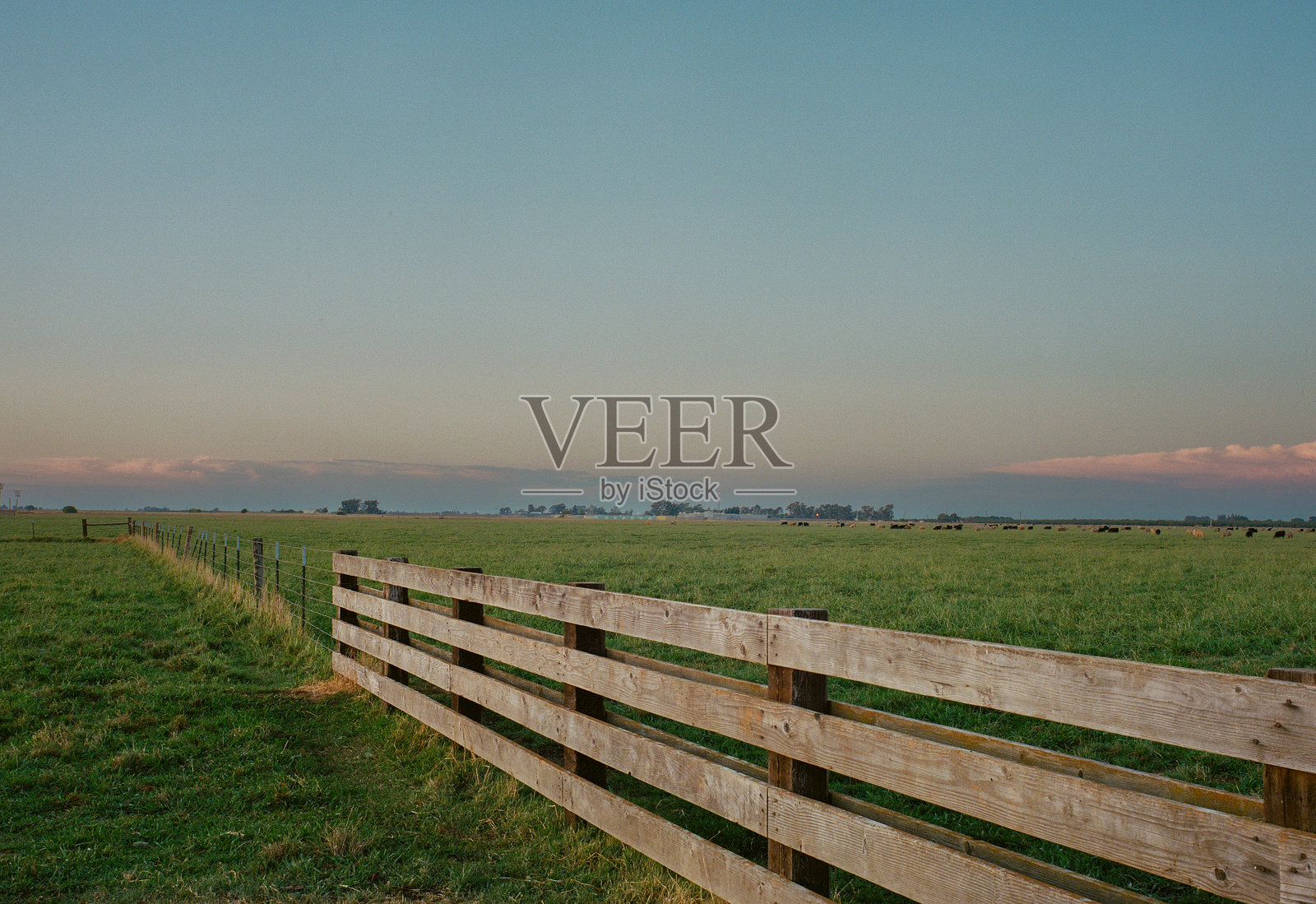 胶片摄影照片摄影图片