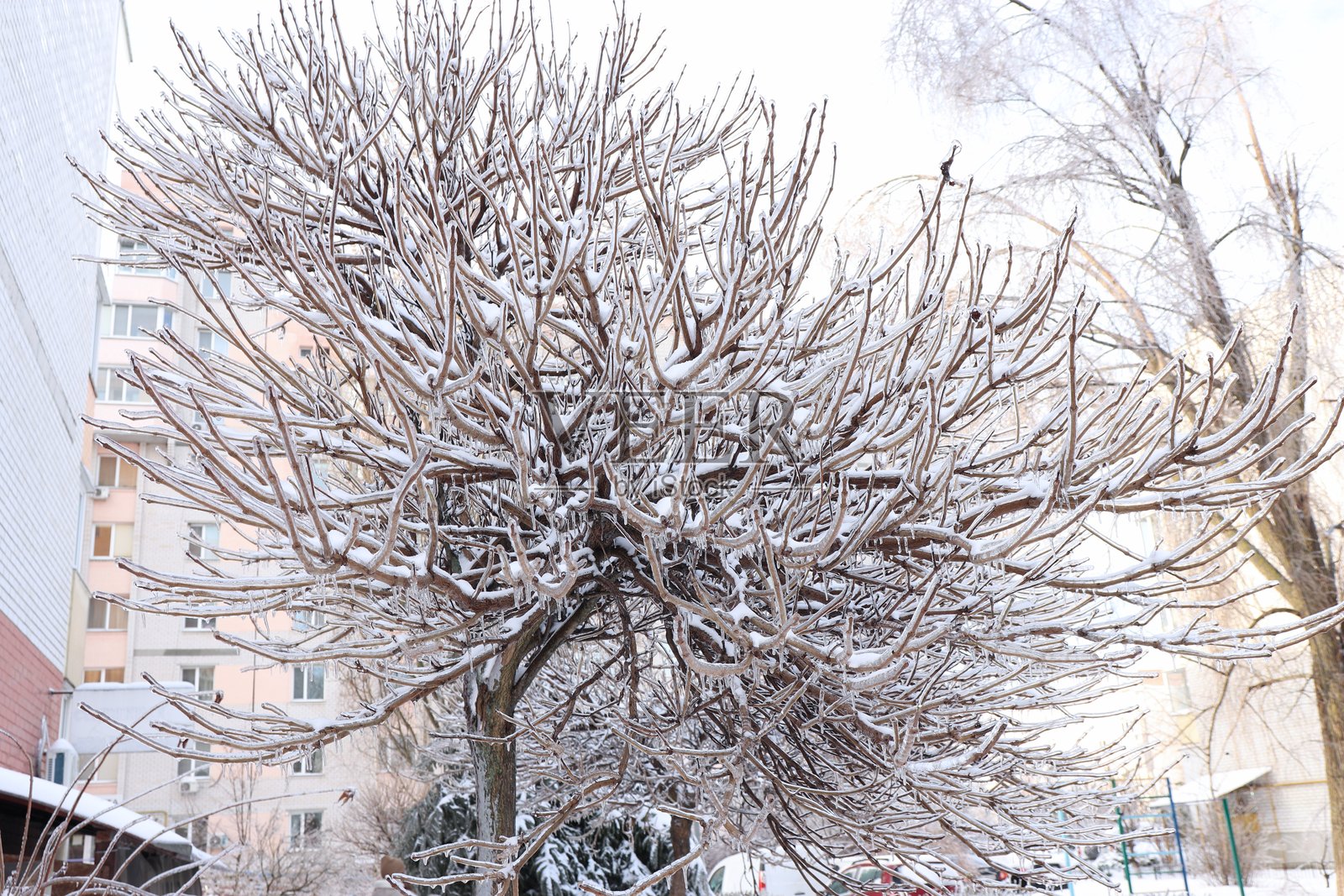 近景展示了雪覆盖的落叶树和冰柱，背景是城市，呈现出冬天的质感照片摄影图片