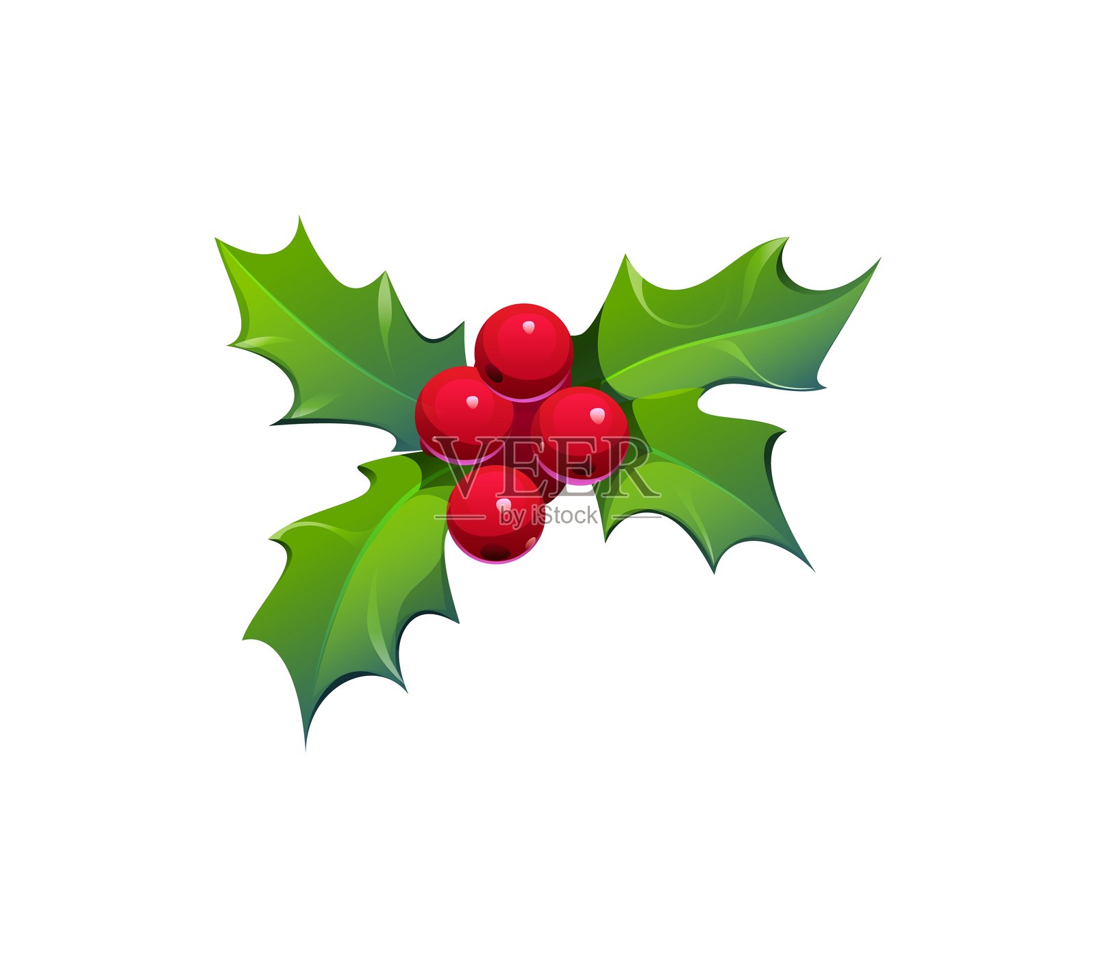 圣诞假日冬青叶和浆果装饰插画图片素材