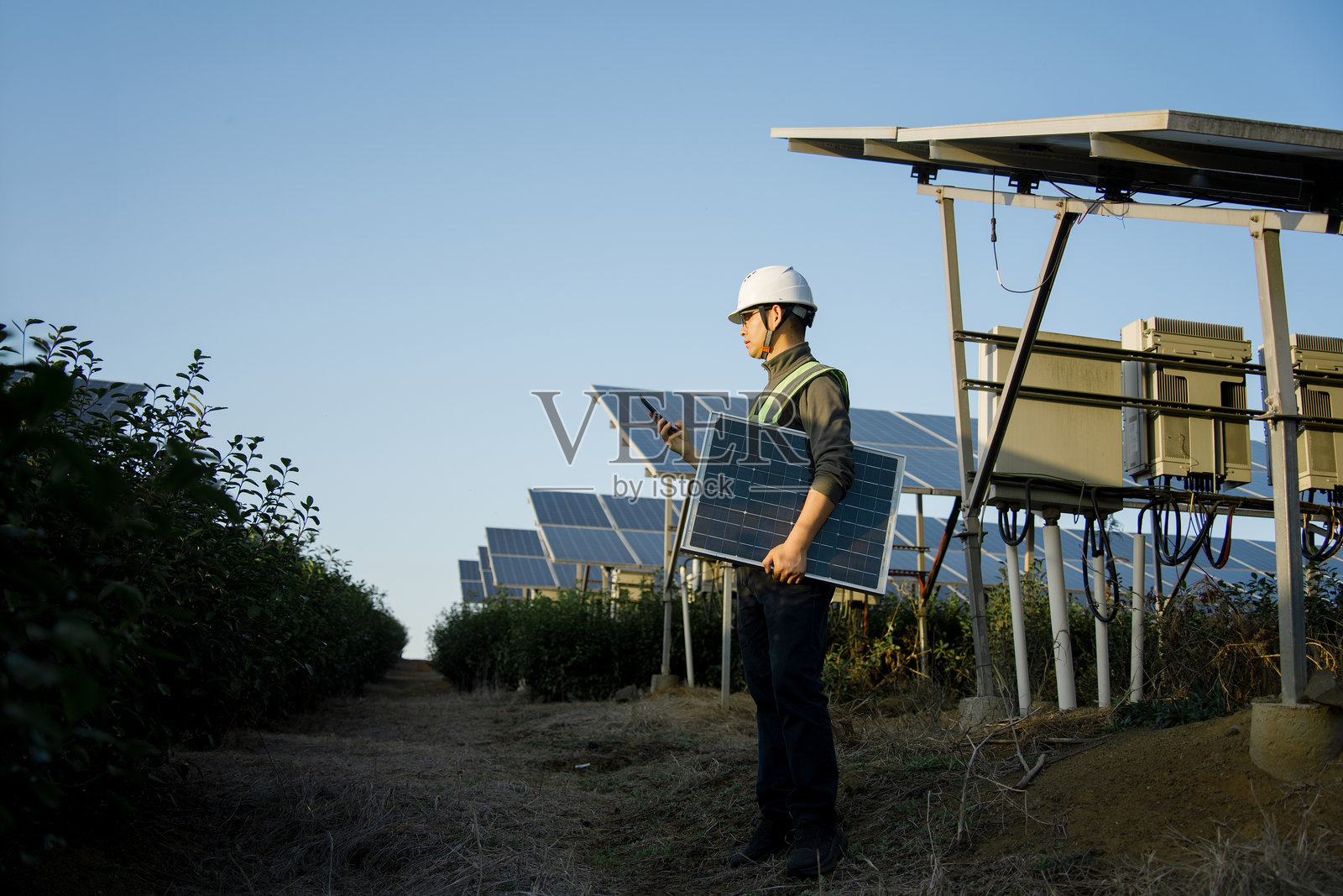工程师手持光伏板检查太阳能电站照片摄影图片
