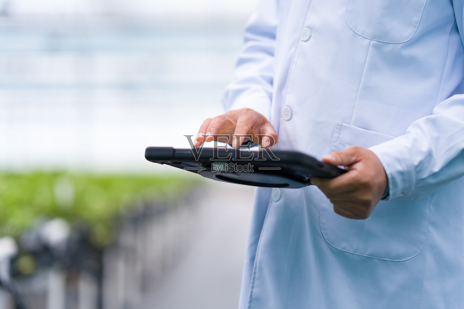 科研人员手持平板检查植物生长照片摄影图片