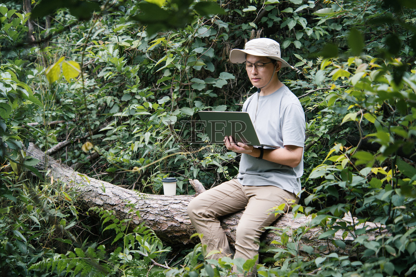 林间枯木上男子用电脑照片摄影图片