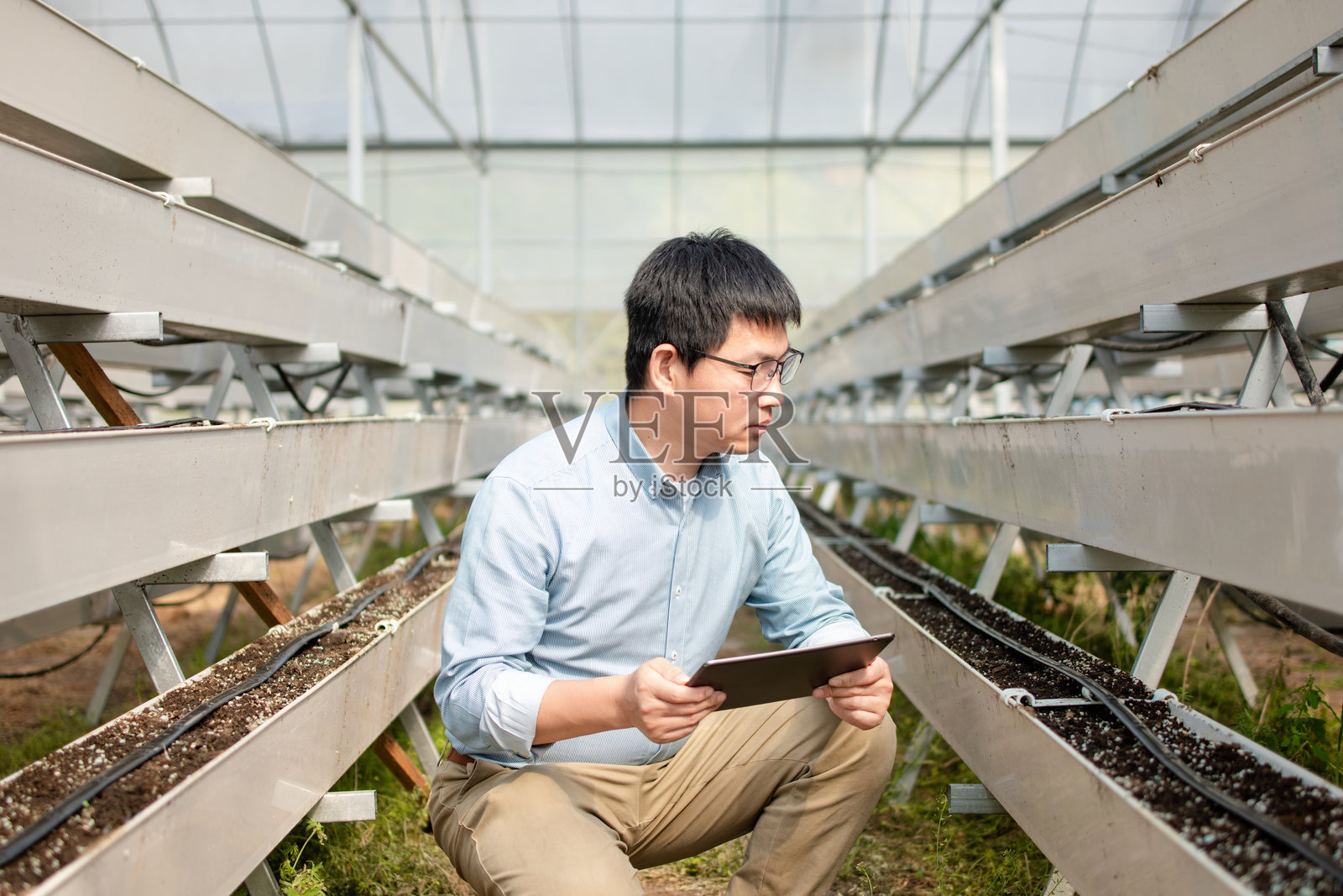 大棚内男子持平板工作照片摄影图片