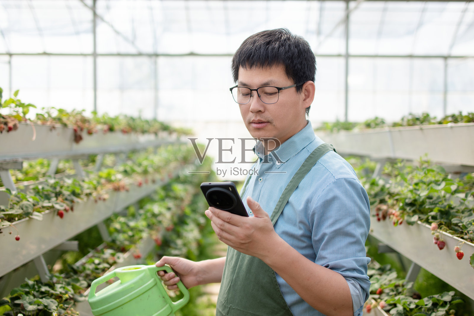 棚内男子持水壶看手机照片摄影图片