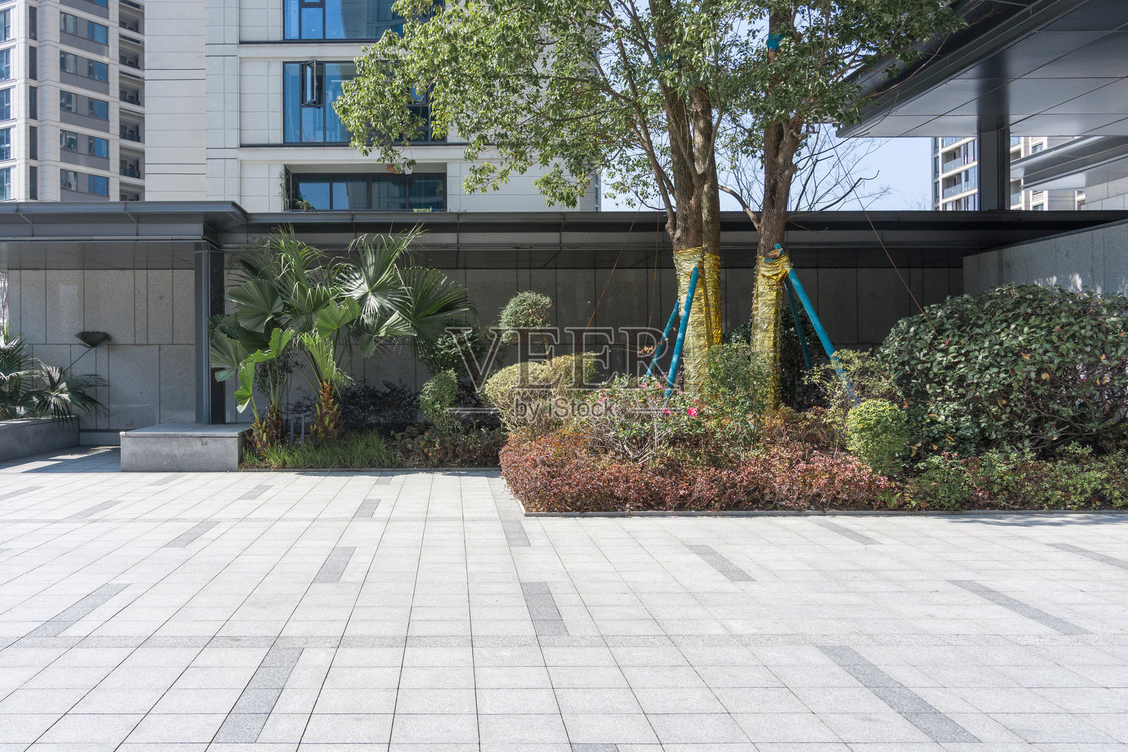 现代住宅区庭院绿化景观铺装地面照片摄影图片