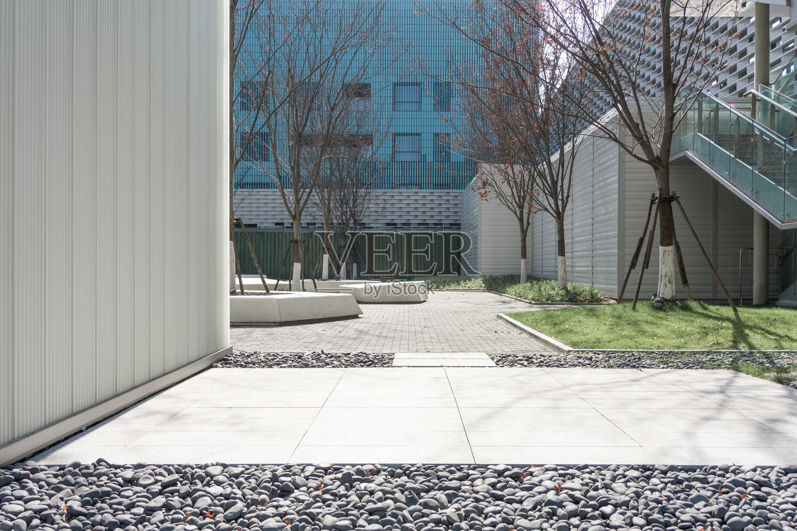 现代建筑庭院枯树石子铺装景观照片摄影图片