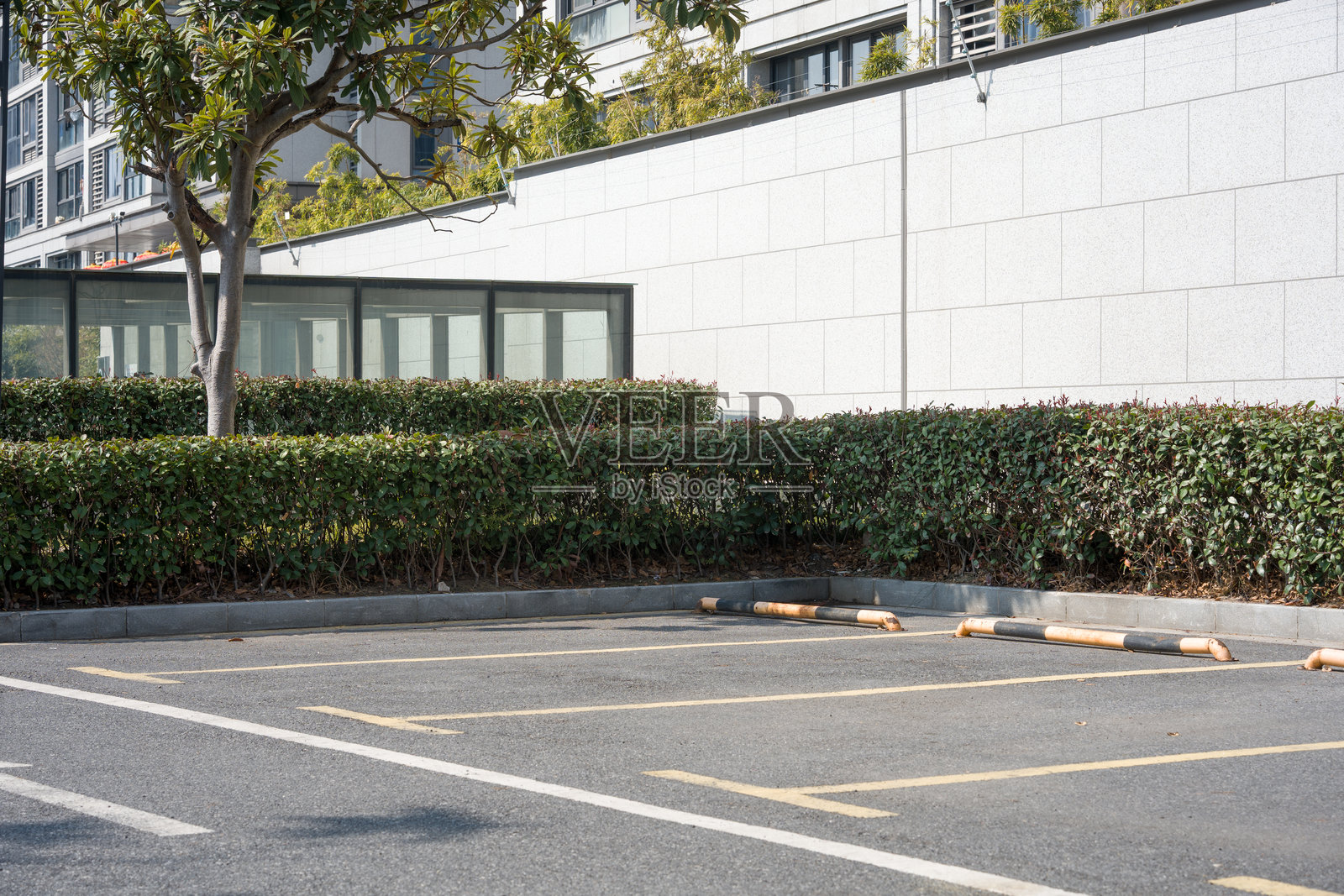 城市停车场空位绿化墙与现代建筑照片摄影图片