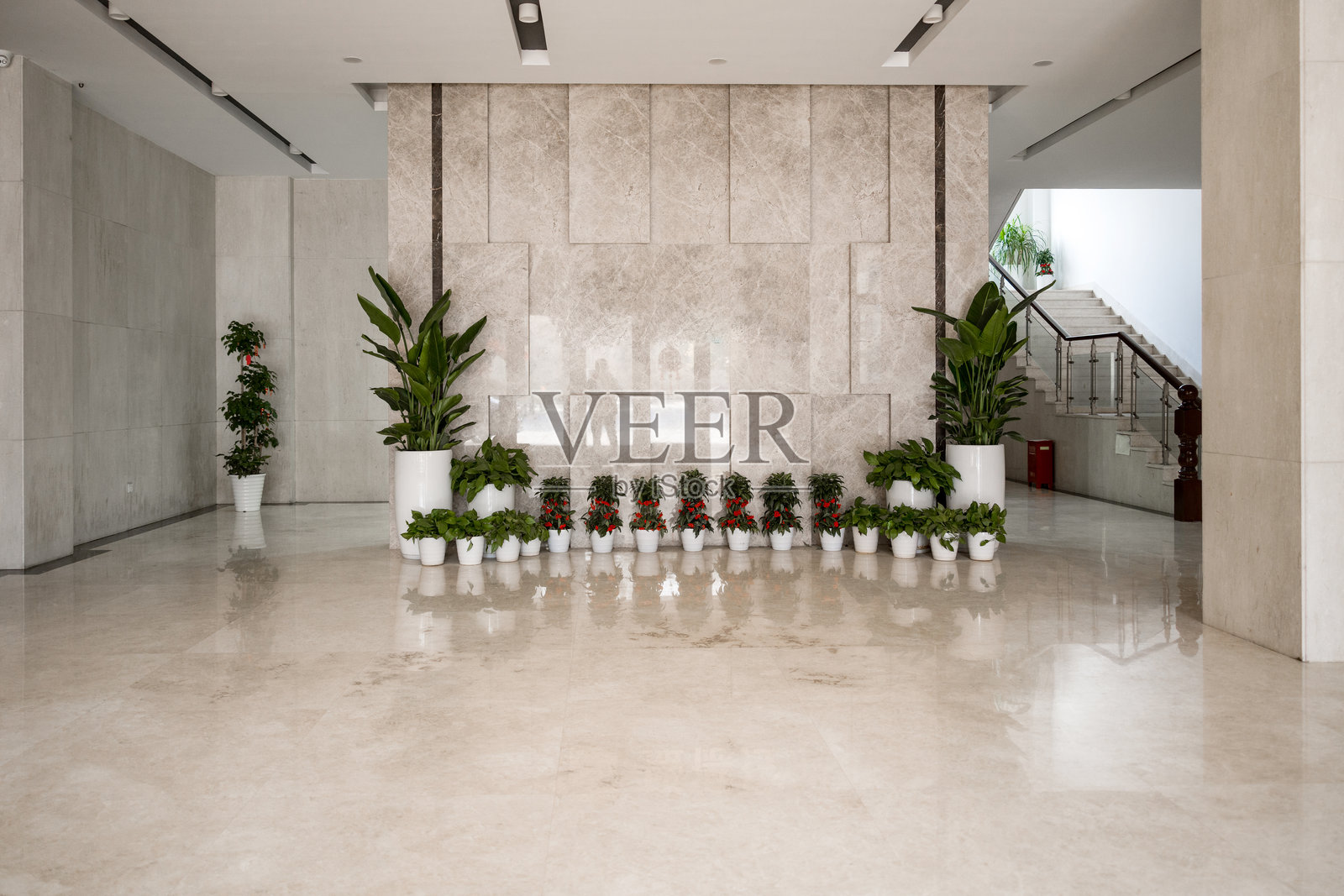 盛德控股公司大厅绿植装饰实景照片摄影图片