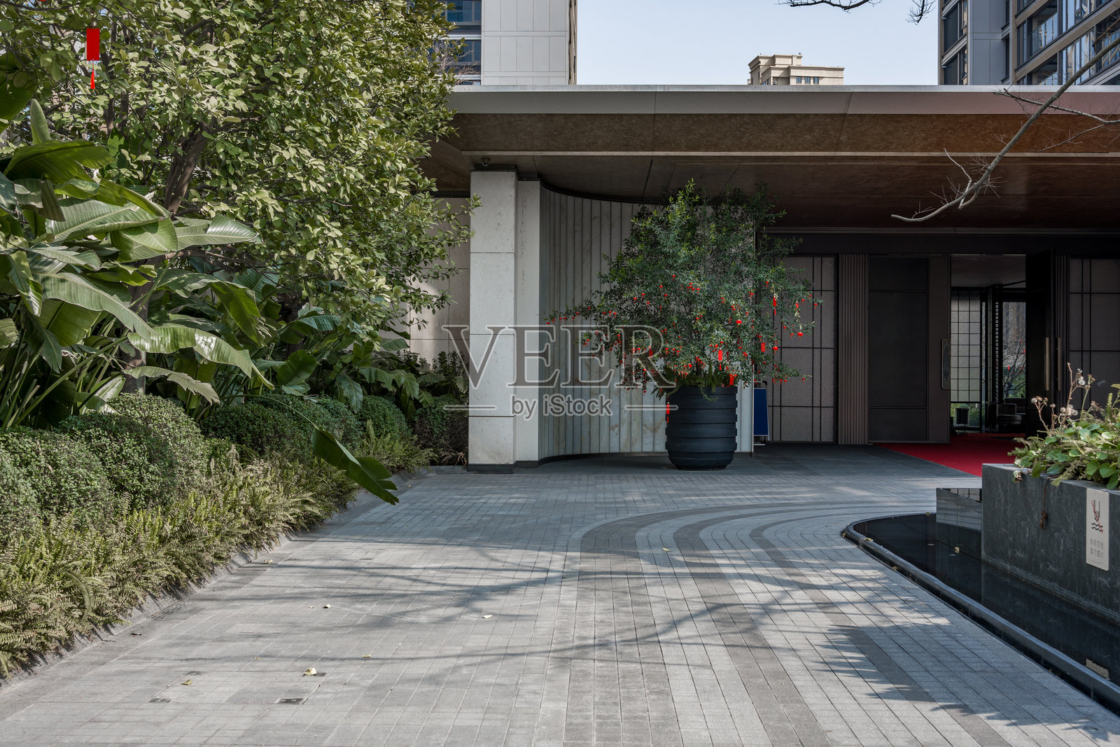 现代建筑入口绿植景观铺装庭院照片摄影图片