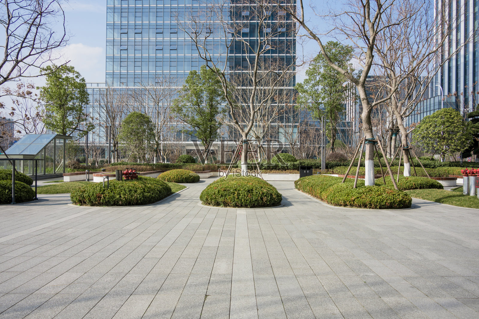 现代城市广场绿化景观与玻璃幕墙建筑照片摄影图片