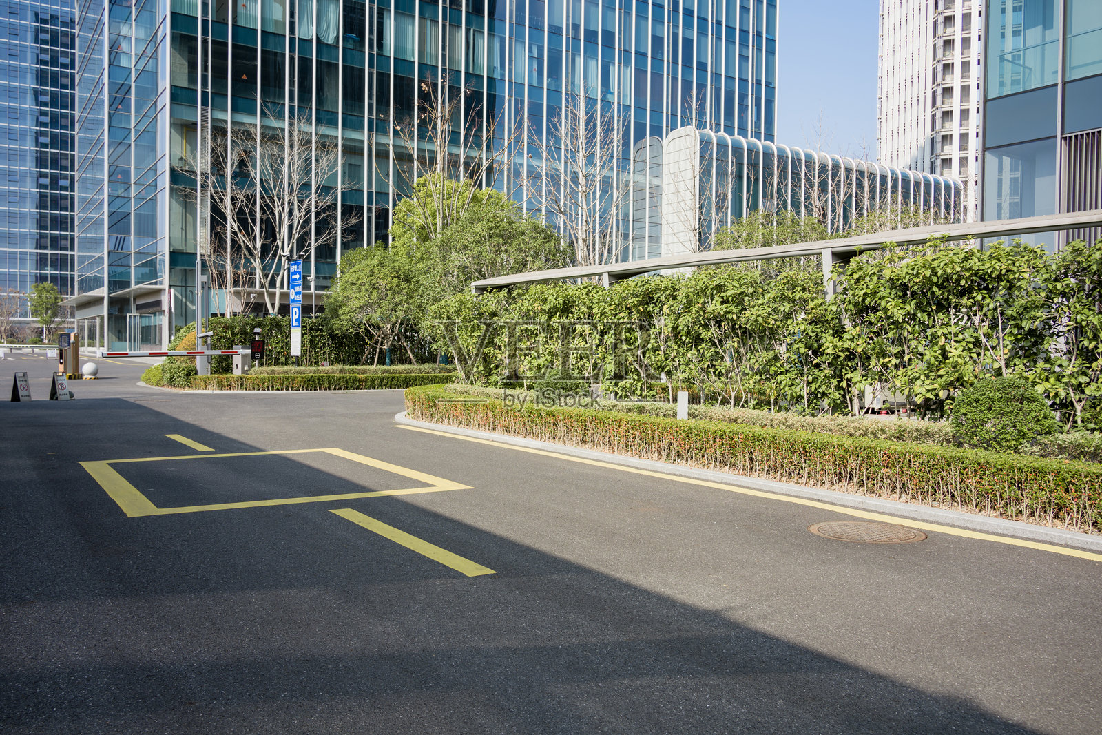 现代商务区道路绿化与玻璃幕墙建筑照片摄影图片