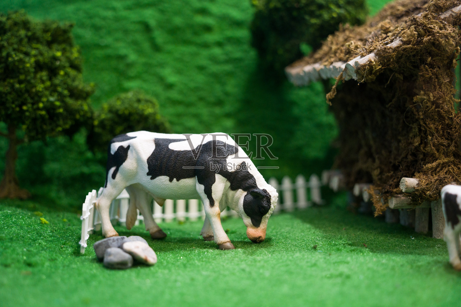 黑白奶牛模型在微缩农场吃草照片摄影图片