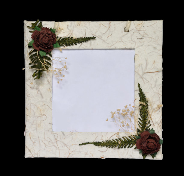 桑葚和干花相框孤立在黑色。图片下载