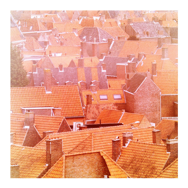 比利时典型的红色屋顶图片下载